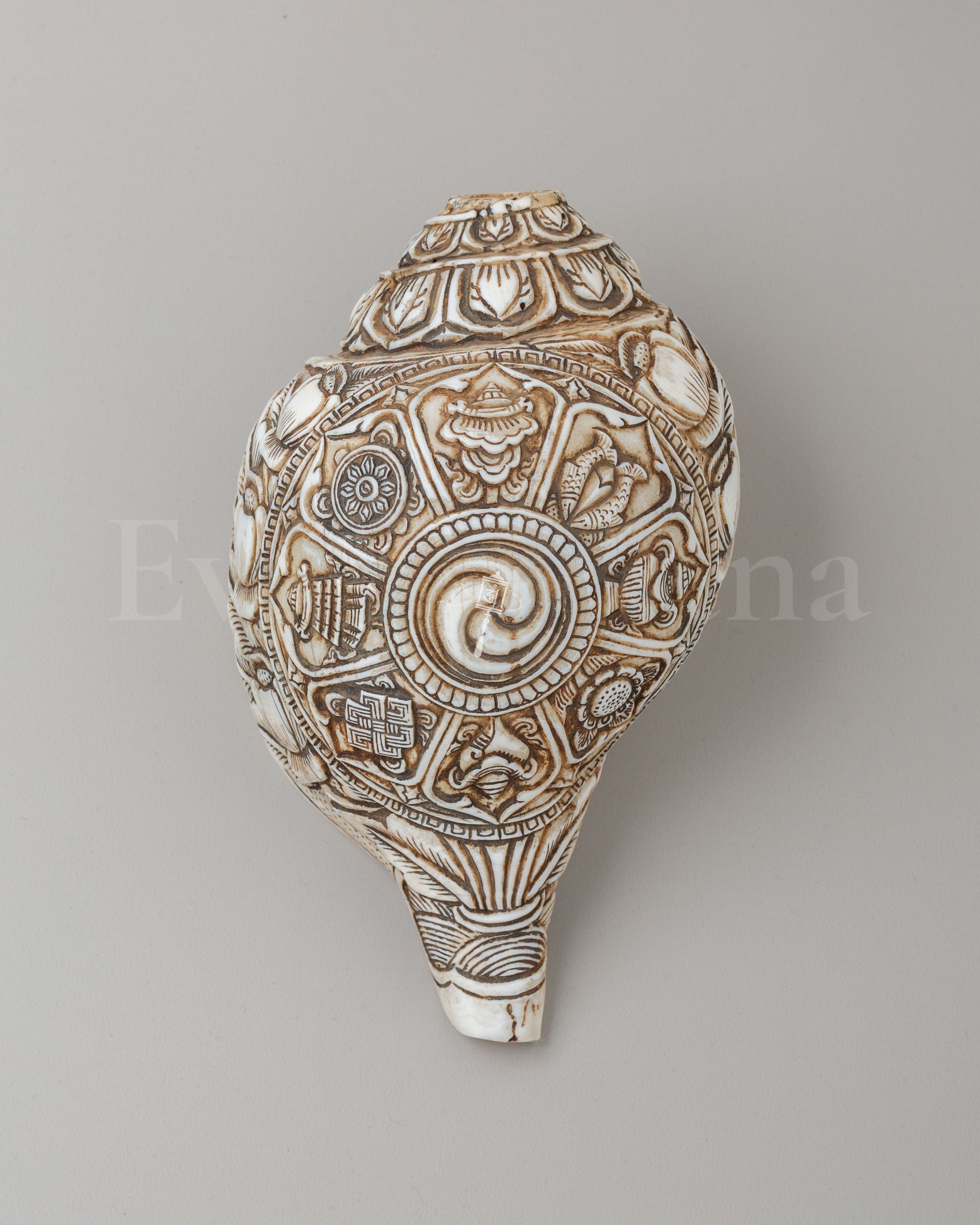 Auspicious Symbol Carved Conch