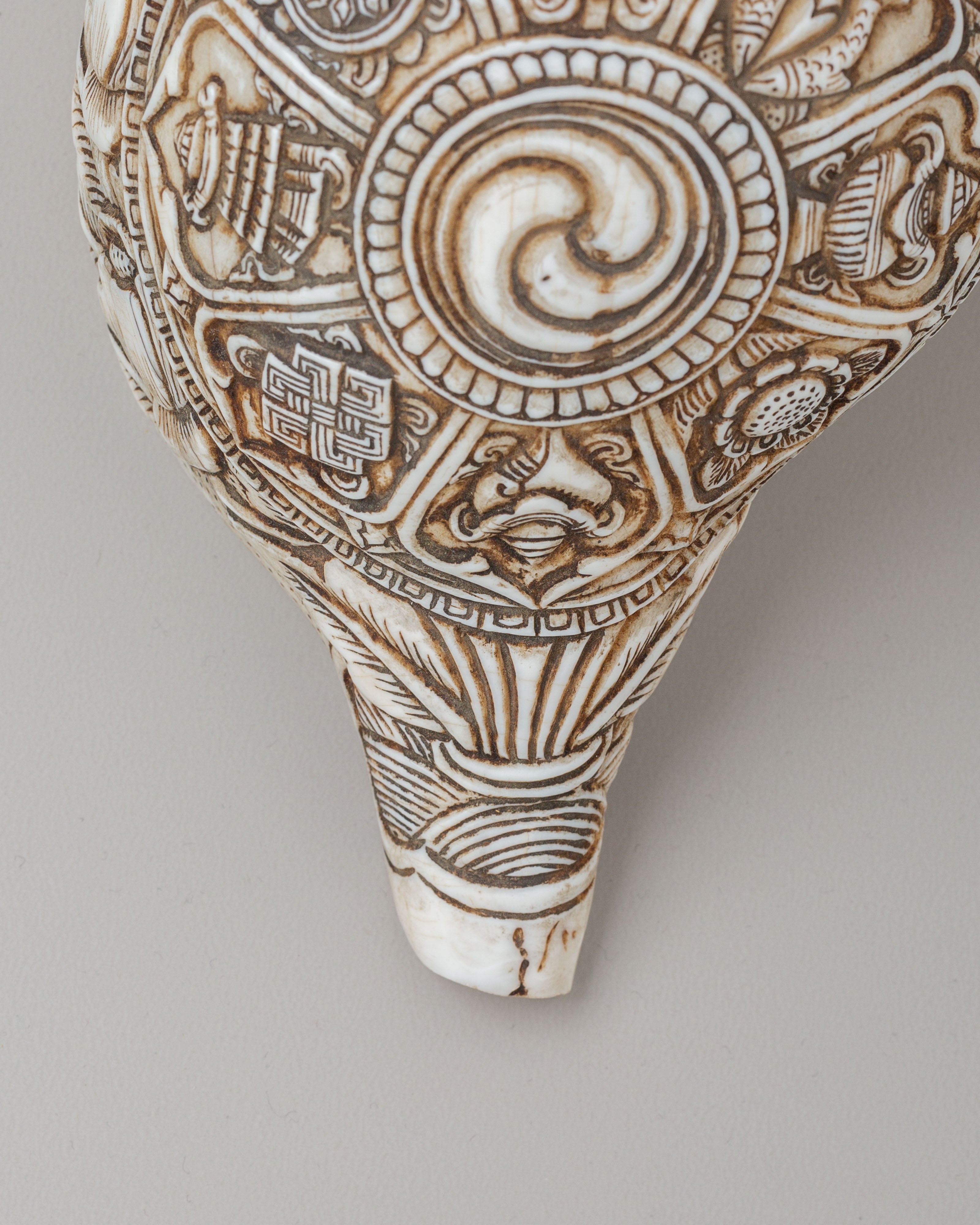 Auspicious Symbol Carved Conch | Perfect for Meditation & Spiritual Practices