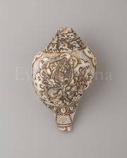 White Dzambhala Ritual Conch 