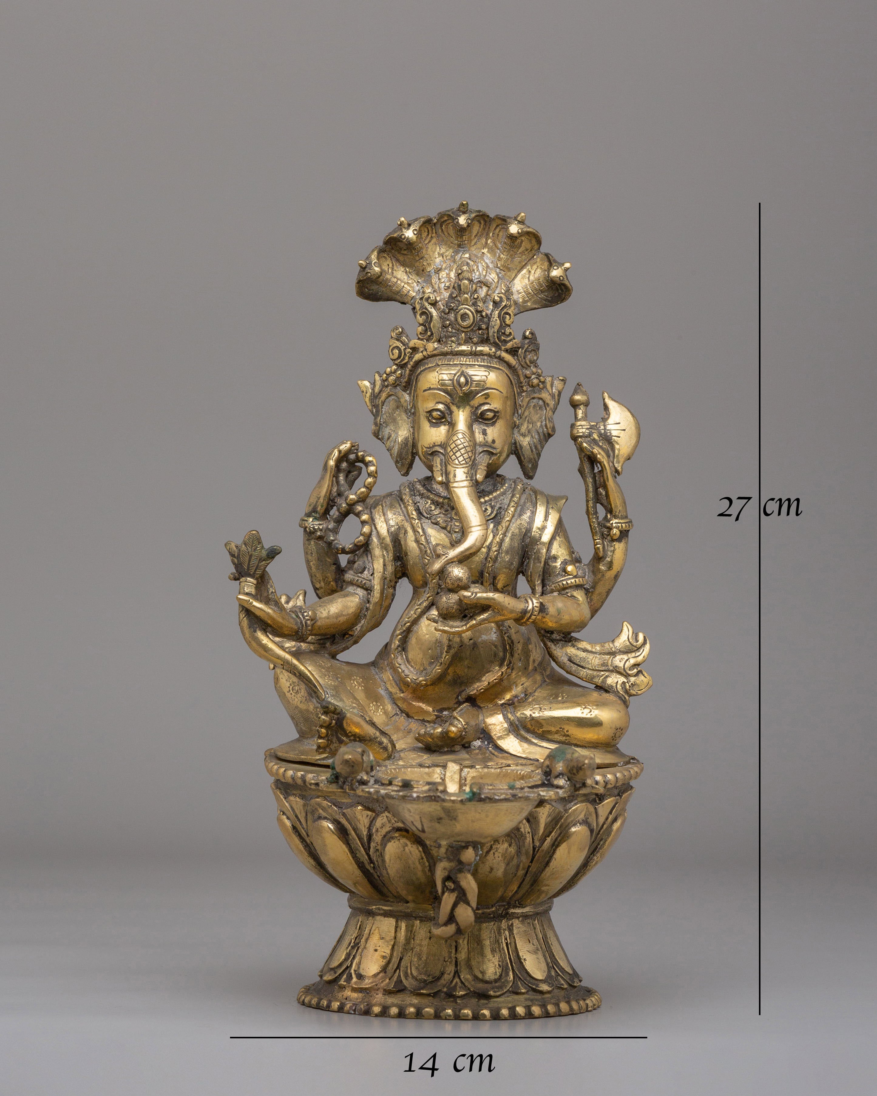 Himalayan Ganesha Sukunda Statue | A Symbol of Divine Wisdom