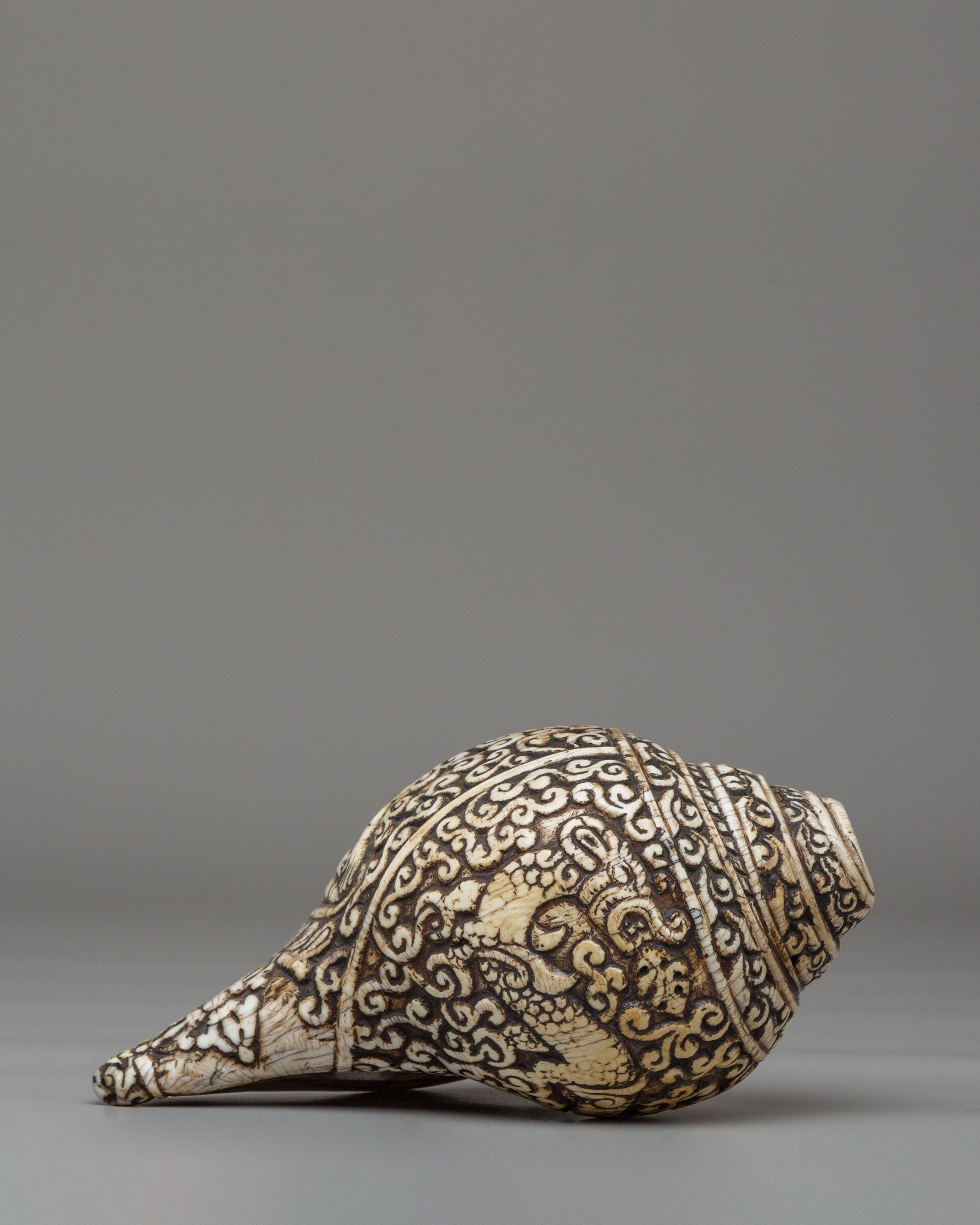 Spiritual Shakyamuni Buddha Conch | Sacred Symbol of Enlightenment