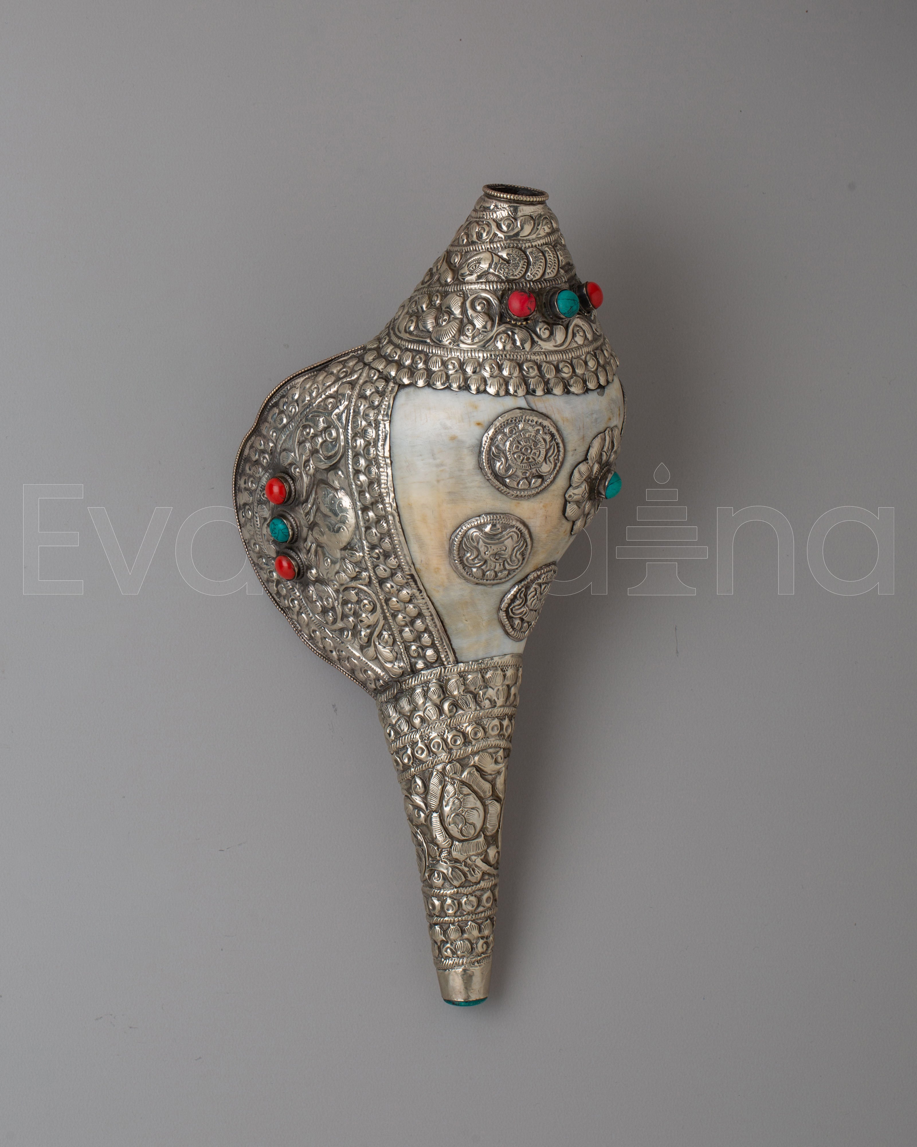 Traditional Conch Shell 