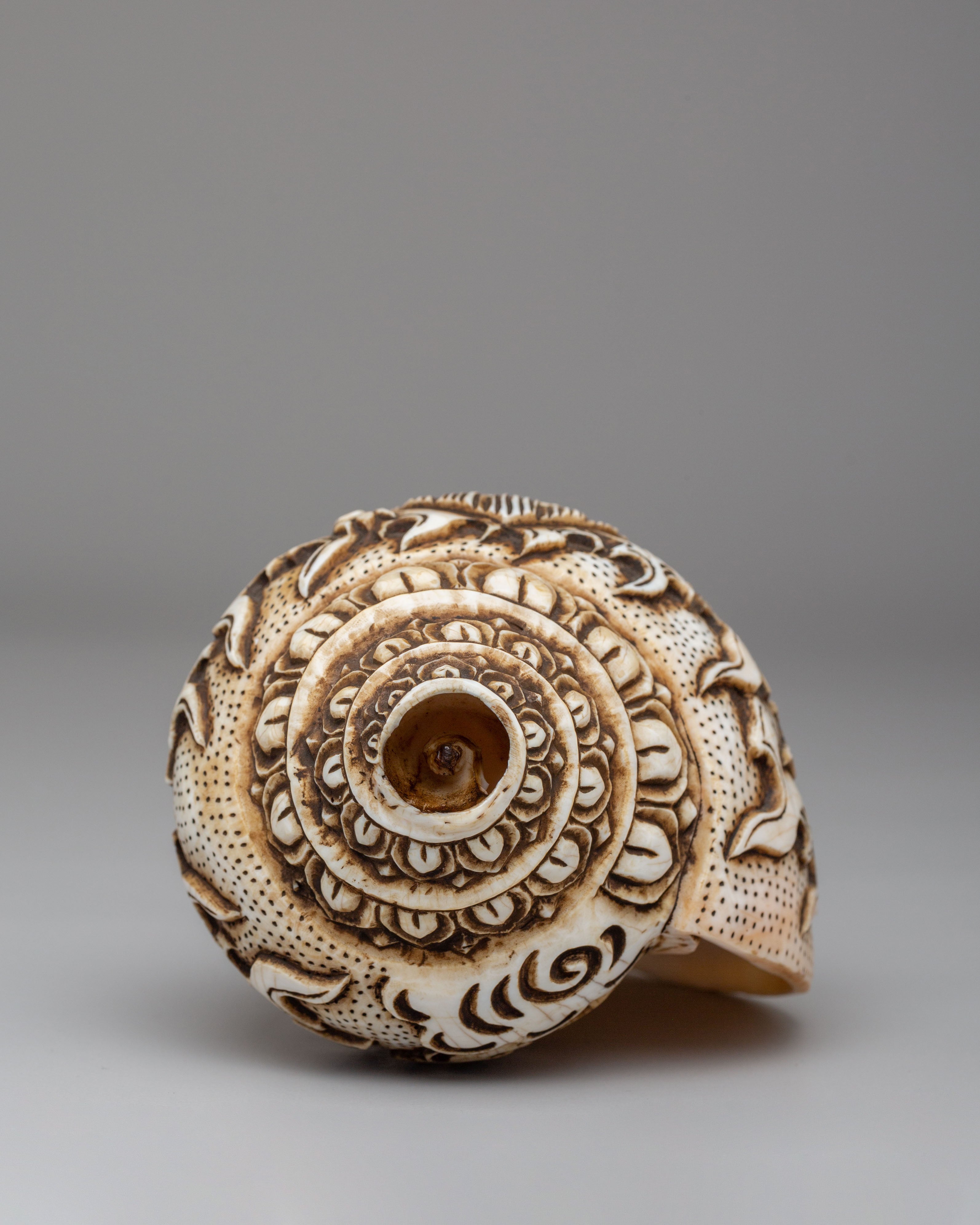 Traditional Sacred Buddhist Conch Shell | Handcrafted Ritual Tool