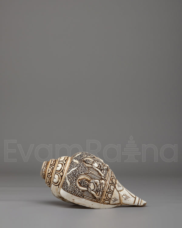 Himalayan Buddhist Conch | Symbol of Dharma and Enlightenment
