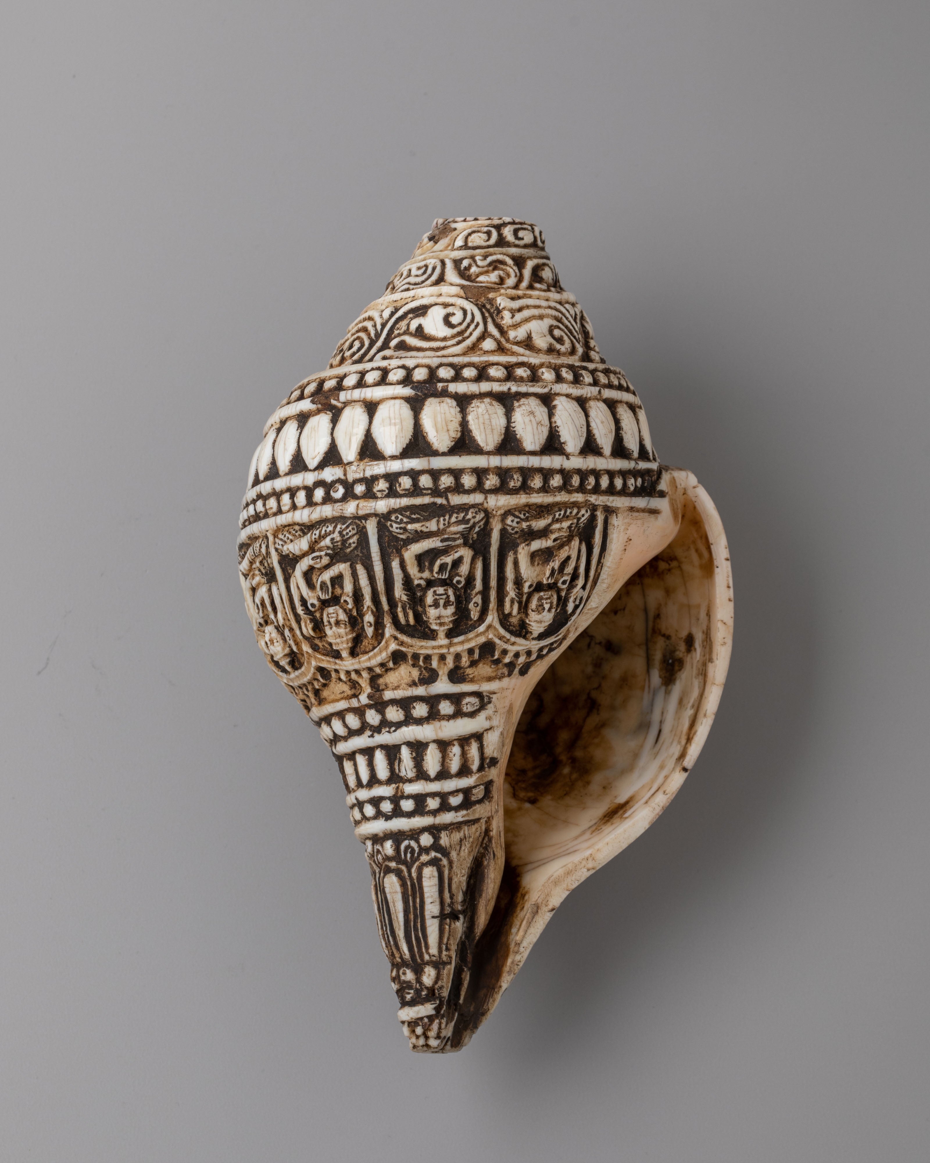 Hand Carved Tibetan Conch Shell | Sacred Sound Conch for Meditation