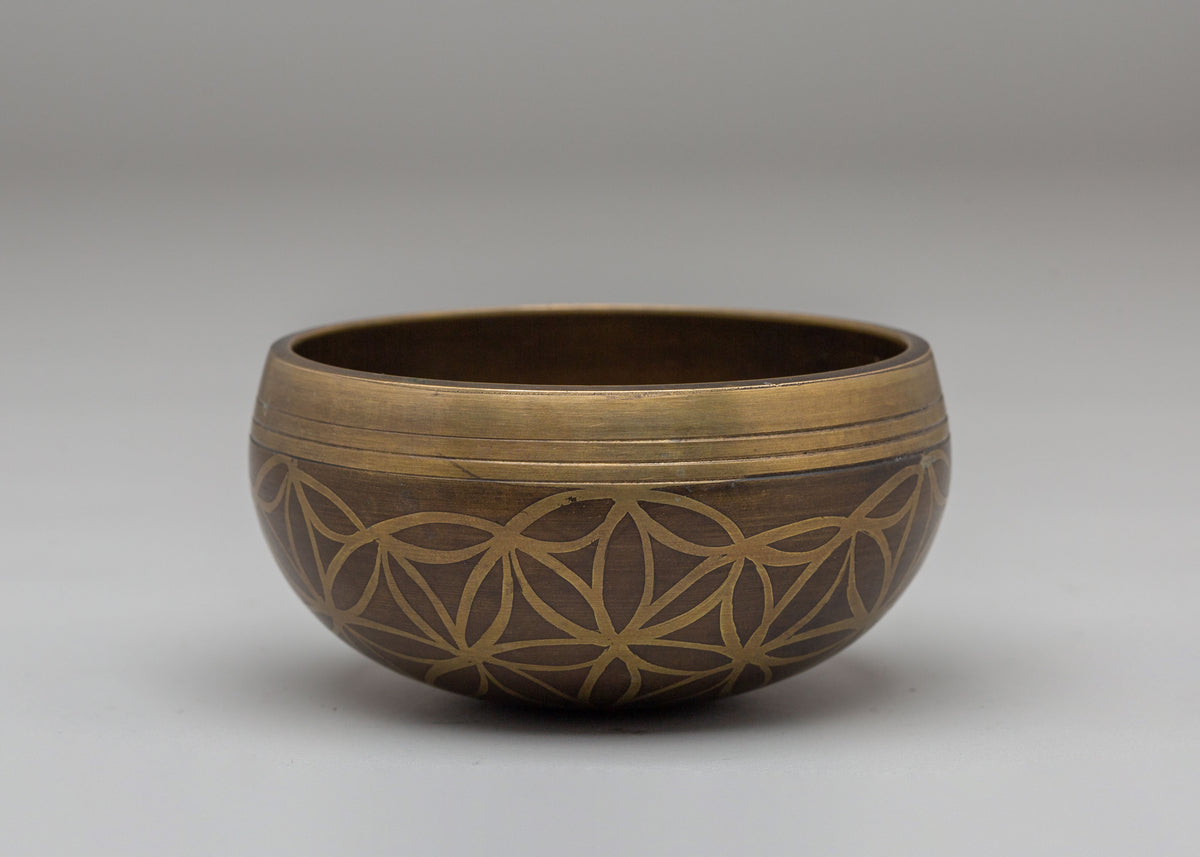 Himalayan Bronze Singing Bowl | Chakra Healing Sound Bowl