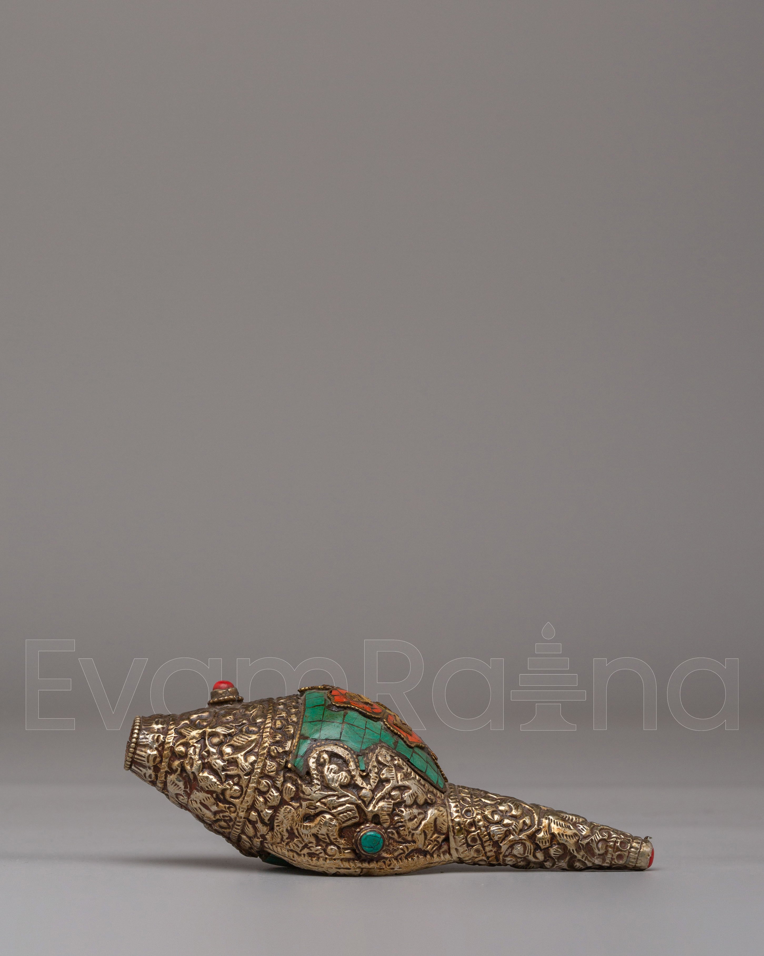 Conch for Buddhist Rituals