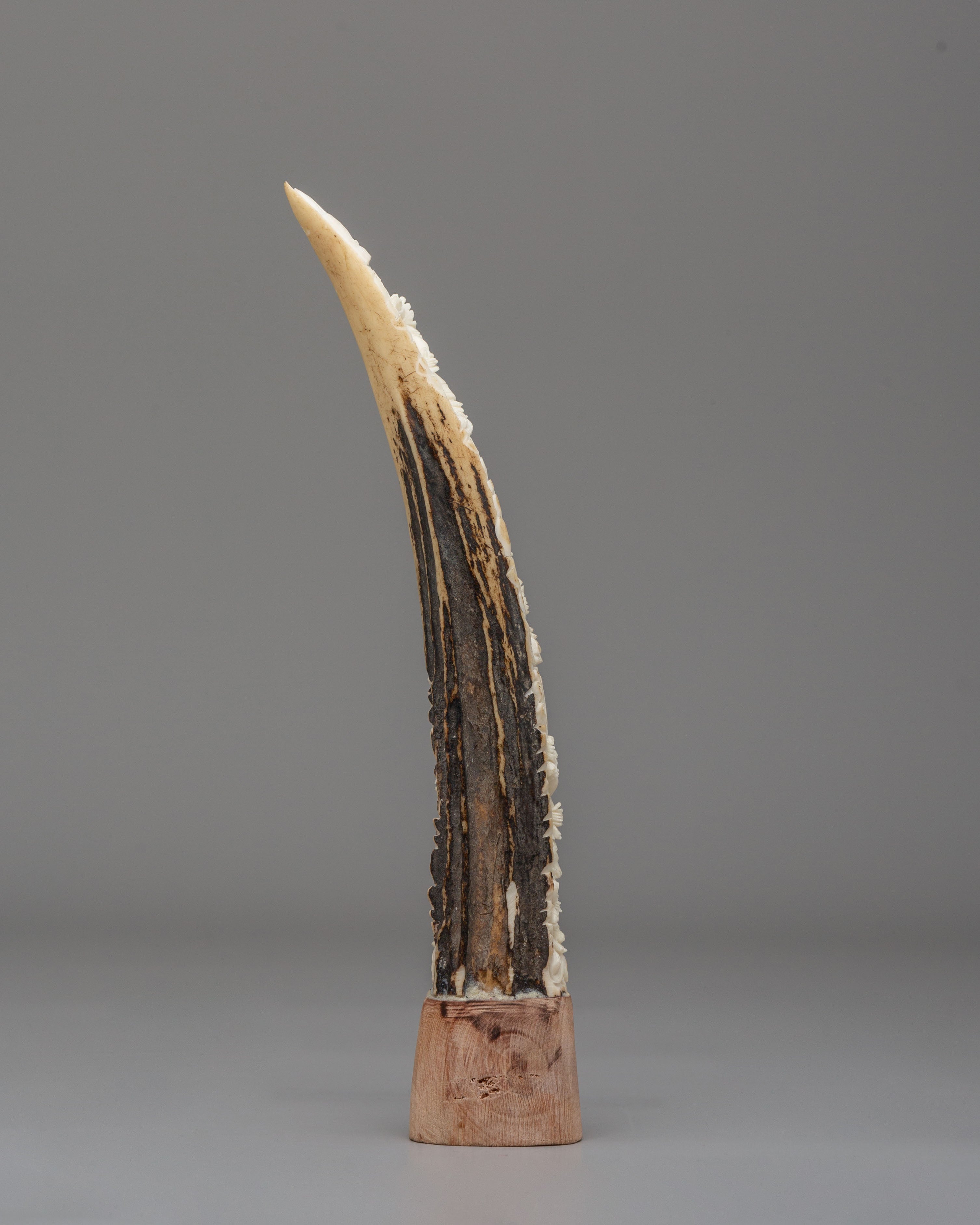 Sacred Mahakala Horn | Hand-Carved Tibetan Ritual Artifact