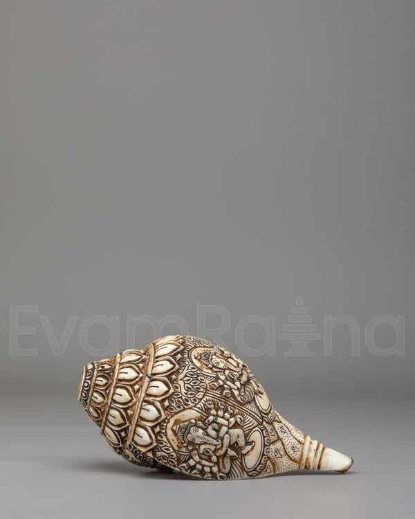 Himalayan Sacred Conch | Tibetan Ritual Conch Shell