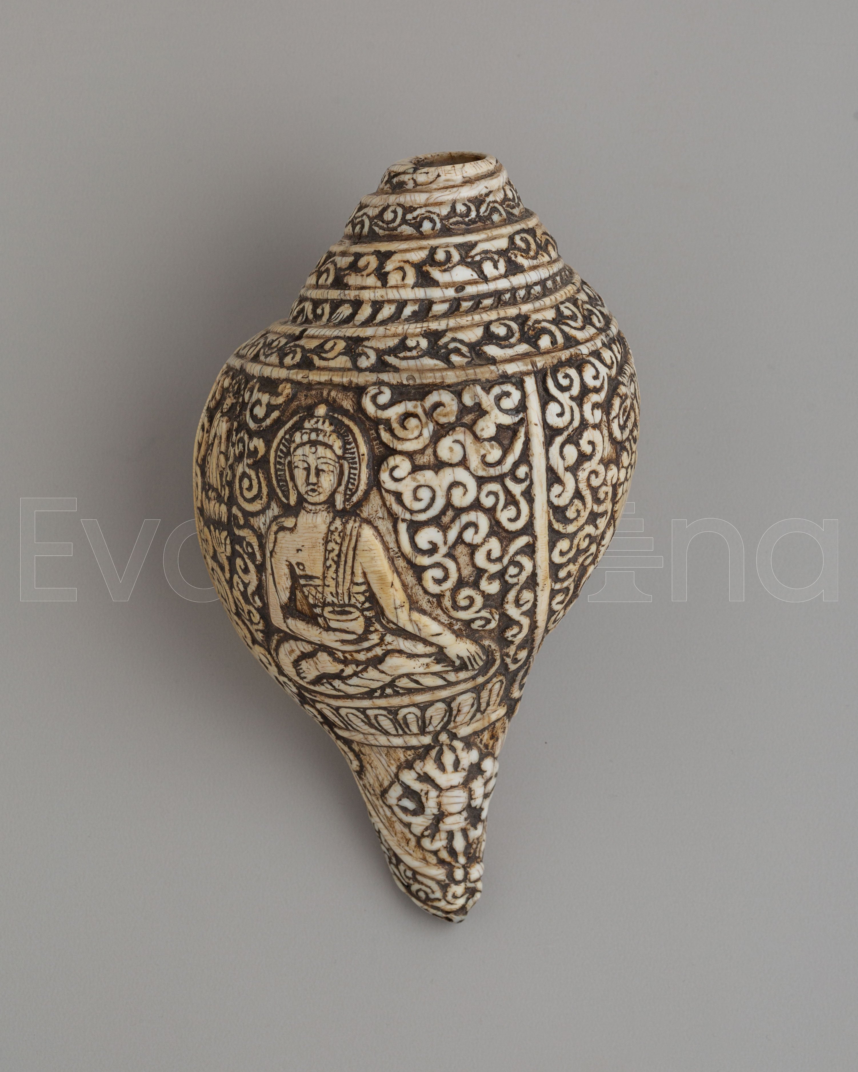 Spiritual Shakyamuni Buddha Conch