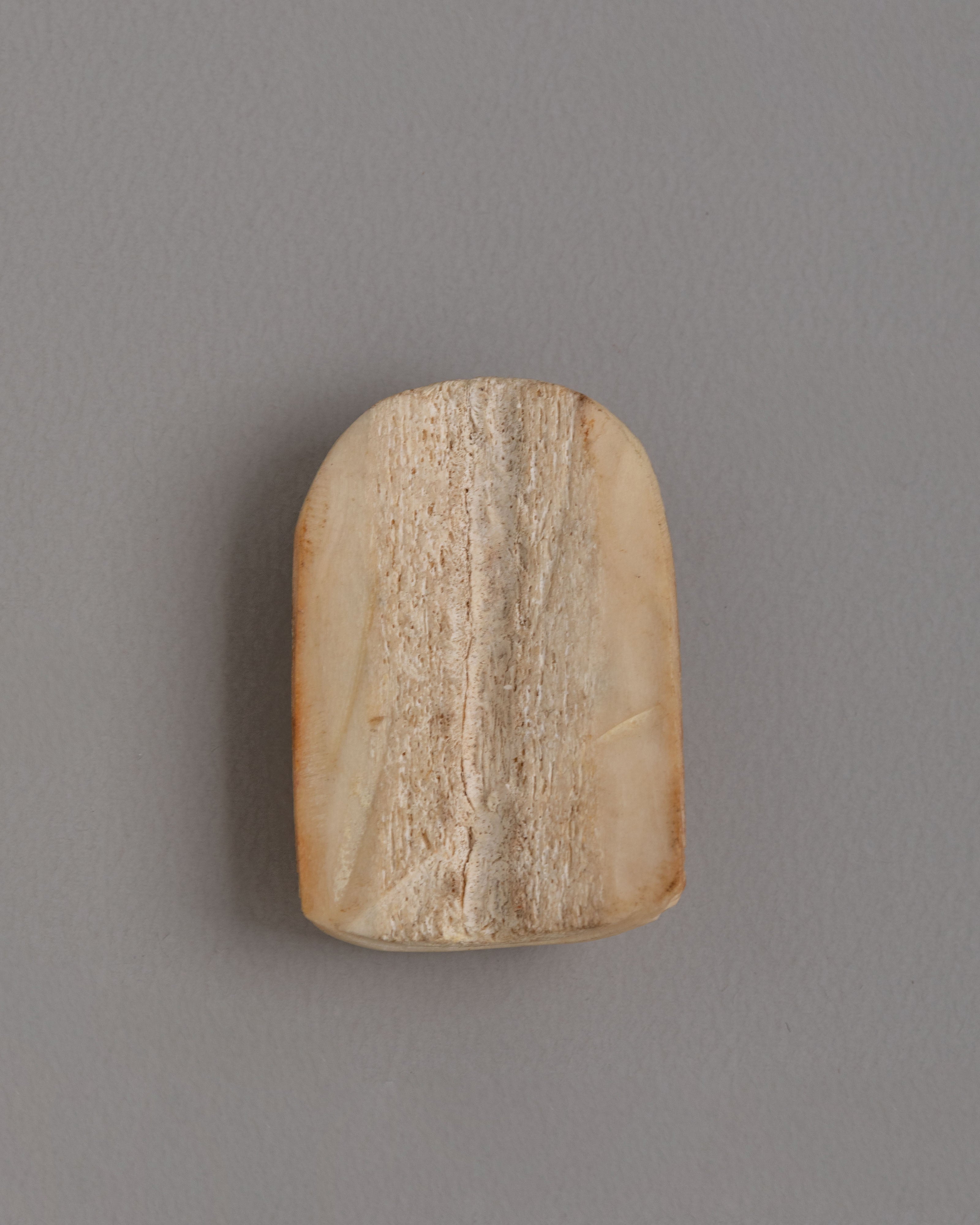 Tibetan Five Dhyani Buddha Bone | Handcrafted Ritual Skull
