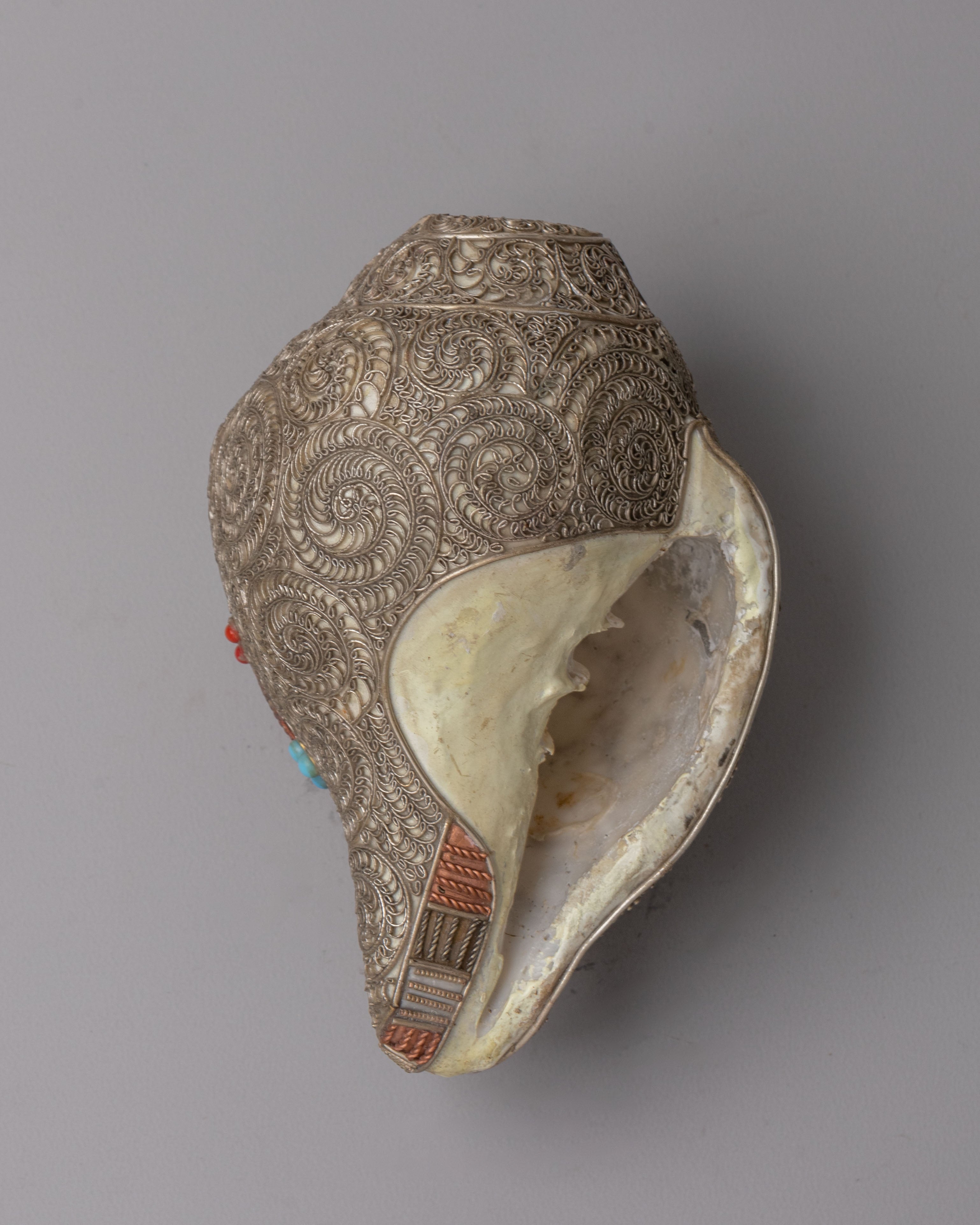 Traditional Ritual Conch | Conch Shell for Spiritual Practice