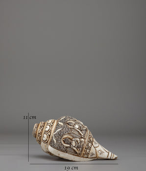 Himalayan Buddhist Conch | Symbol of Dharma and Enlightenment