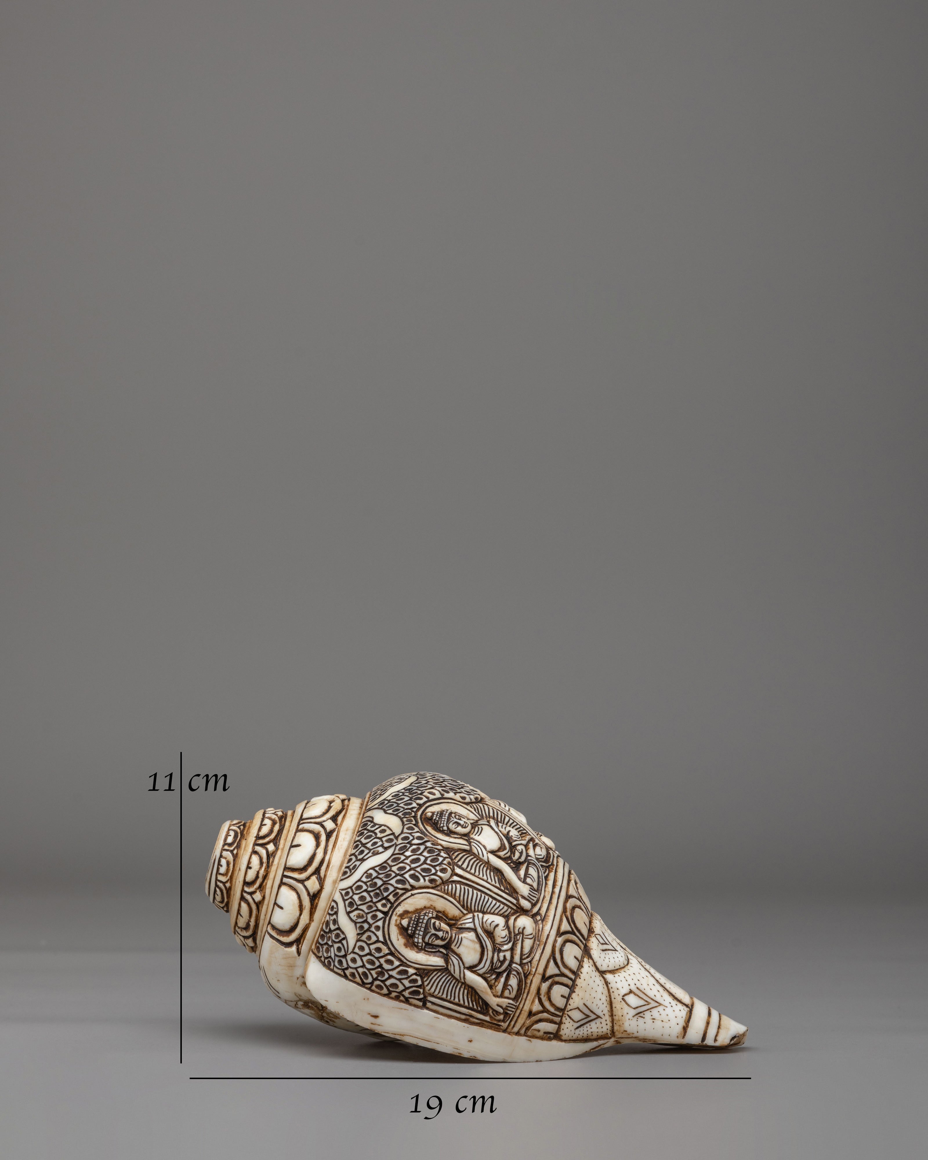 Himalayan Buddhist Conch | Symbol of Dharma and Enlightenment