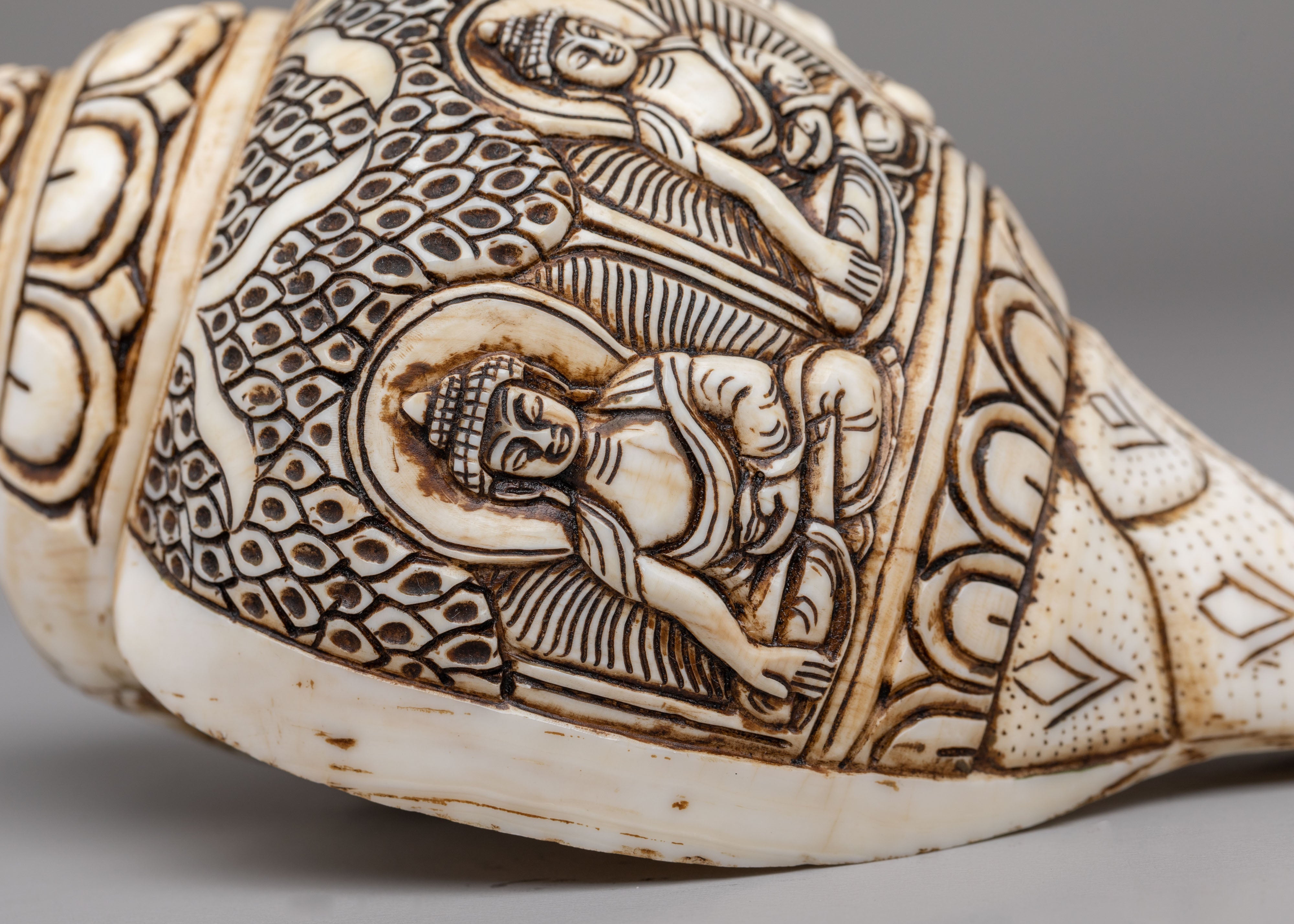 Himalayan Buddhist Conch | Symbol of Dharma and Enlightenment