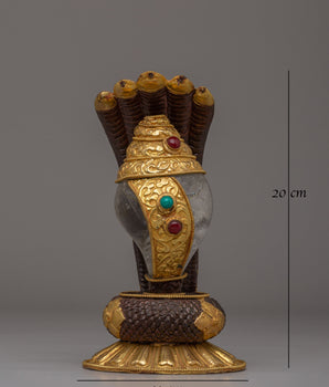 Handmade Buddhist Conch for Rituals | Tibetan Conch for Ritual Practice