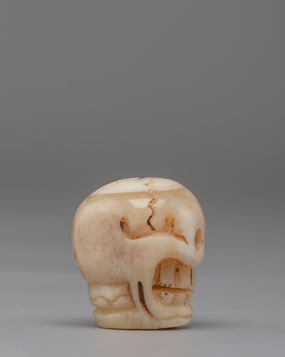 Tibetan Skull Decor | Buddhist Ritual Skull Head