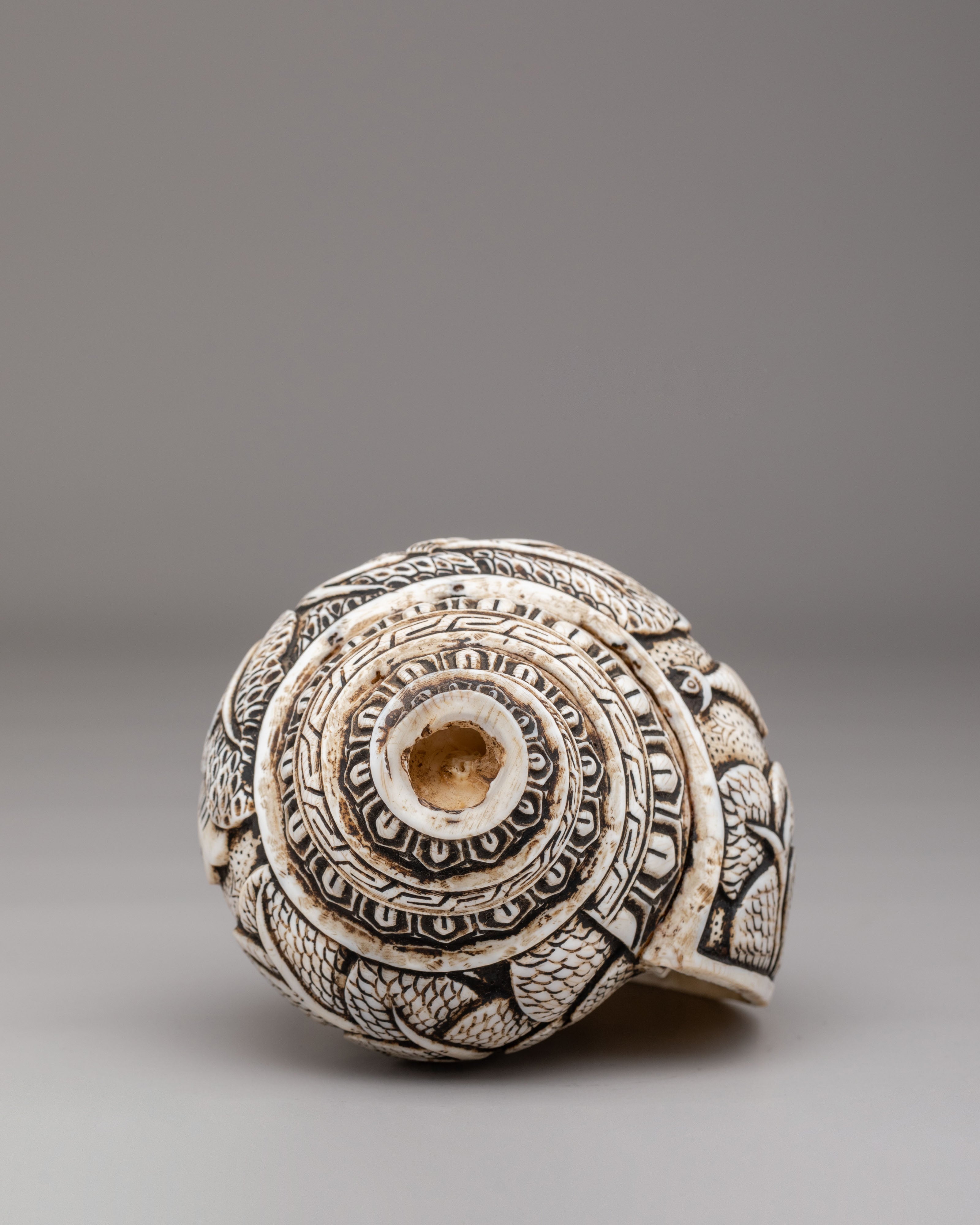 Handcrafted Conch for Ritual | Spiritual Decor