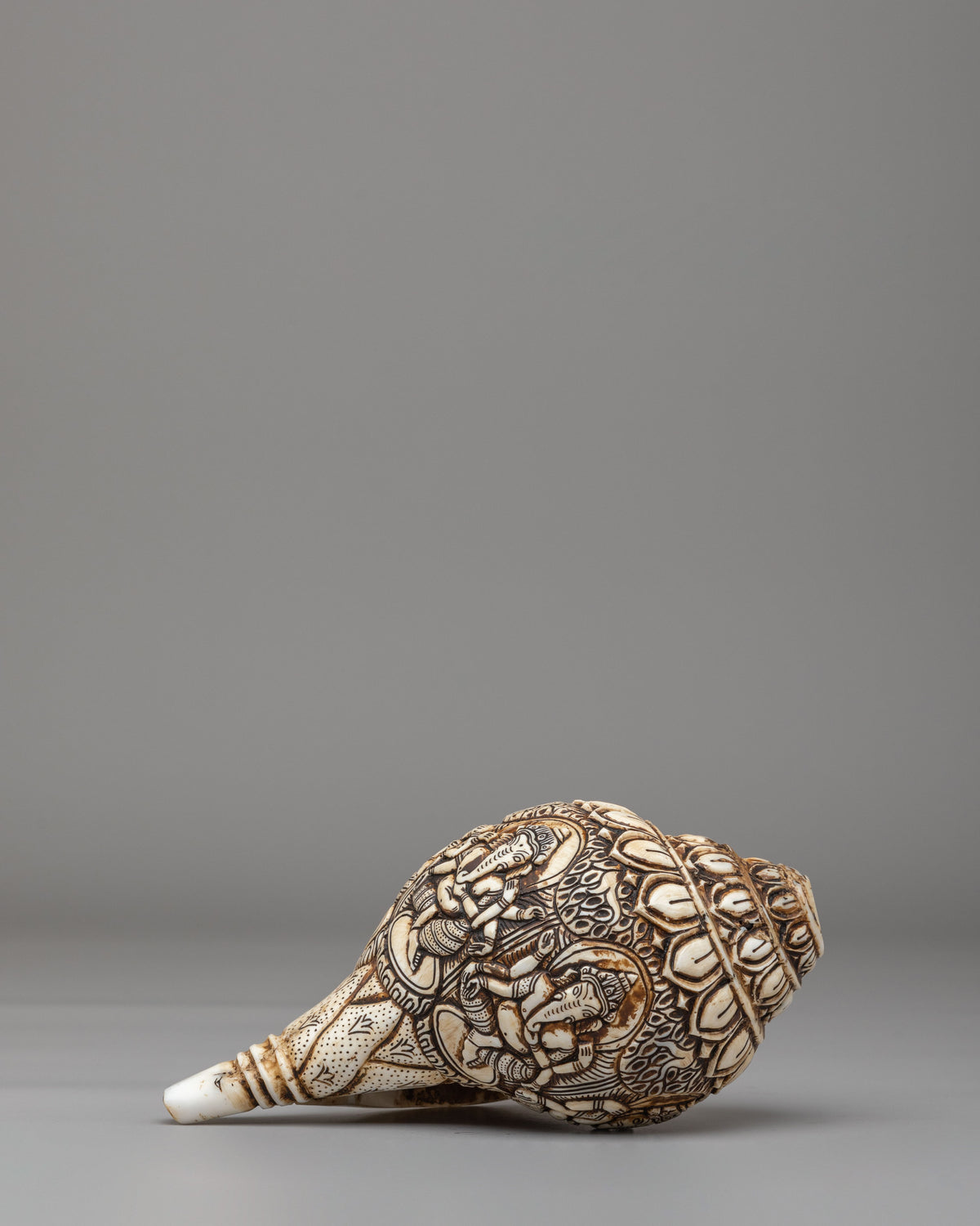 Himalayan Sacred Conch | Tibetan Ritual Conch Shell