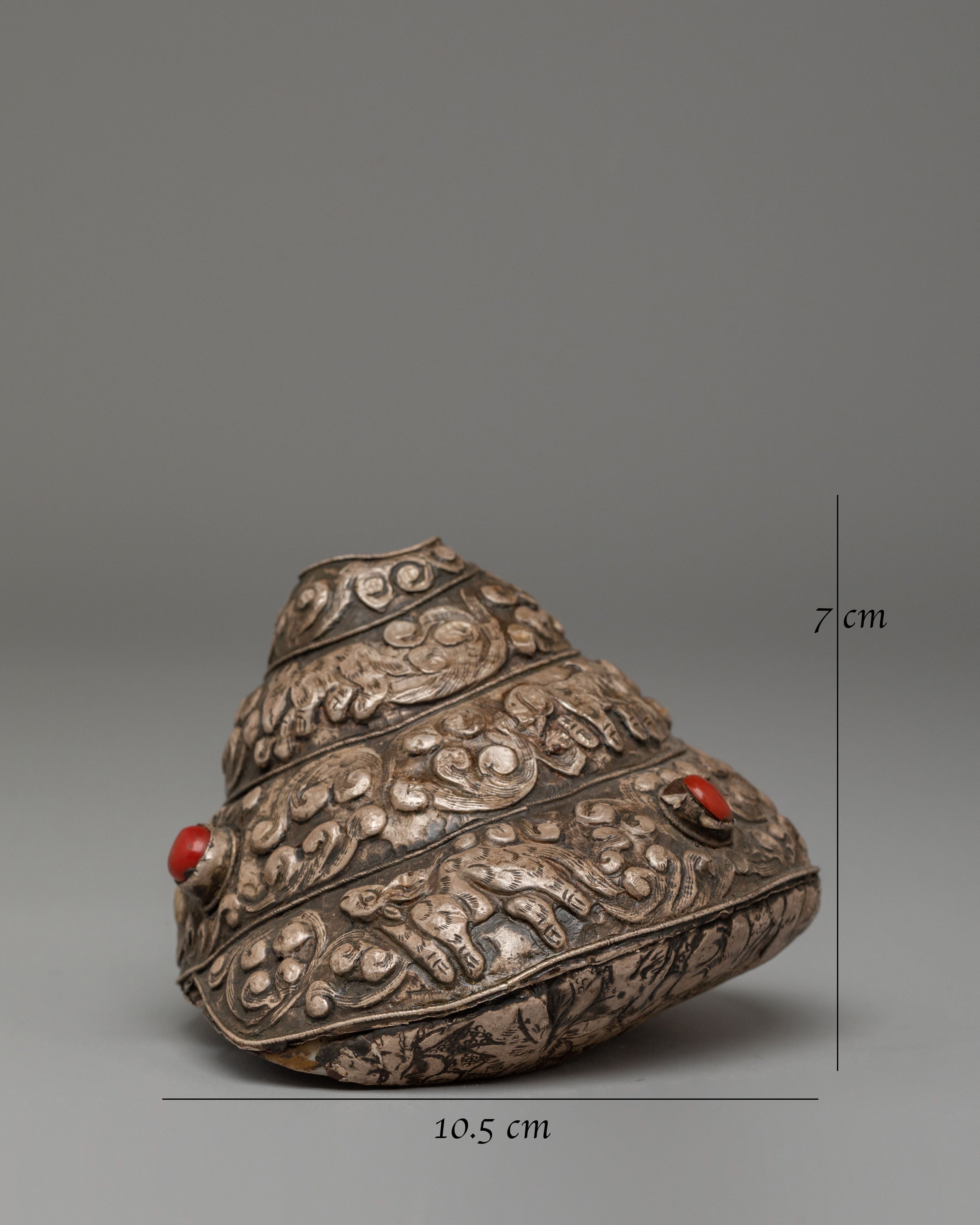 Himalayan Dharma Conch Shell | Silver Covered Buddhist Ritual Instrument