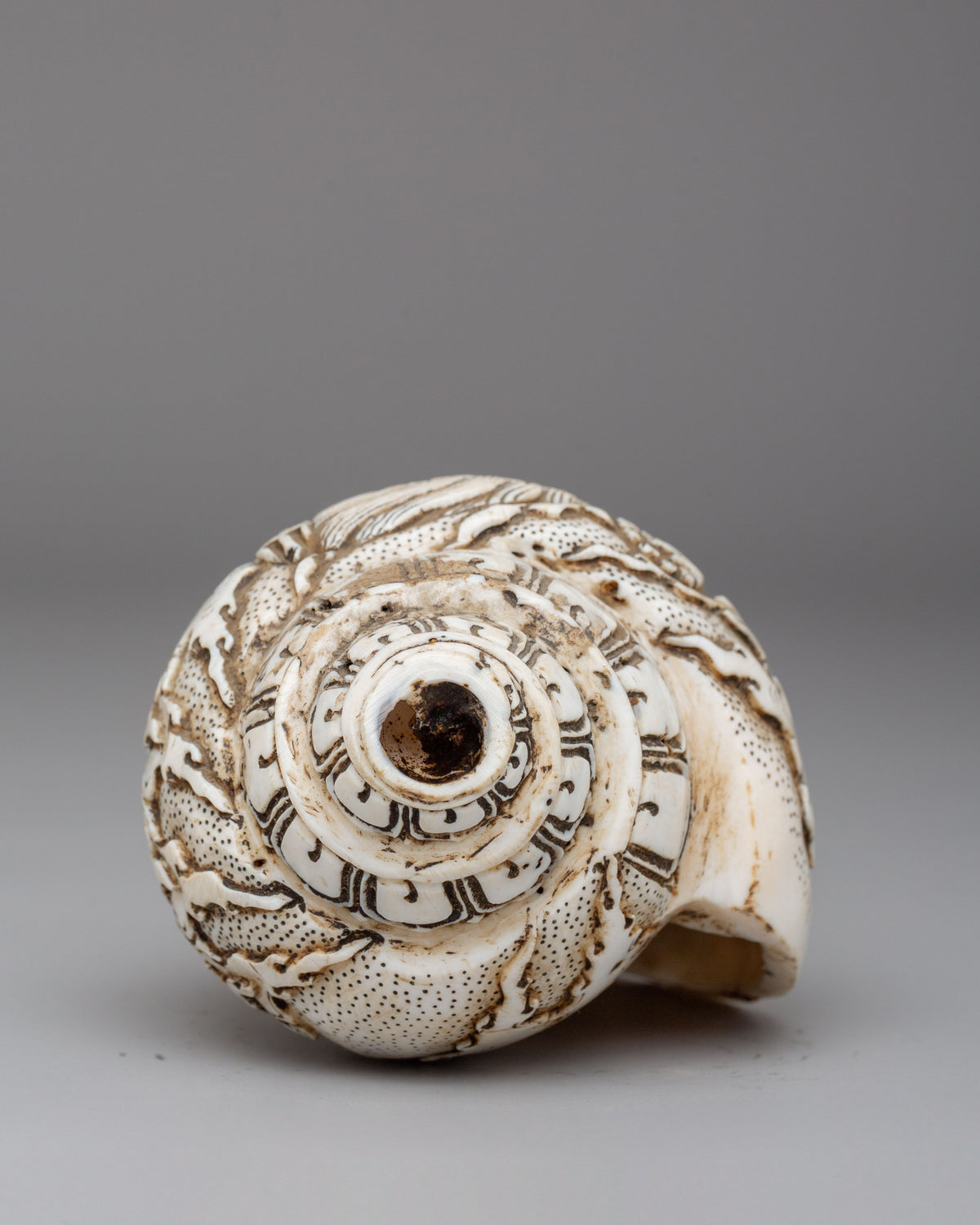 Six-Armed Mahakala Conch | Sacred Carved Ritual Shell
