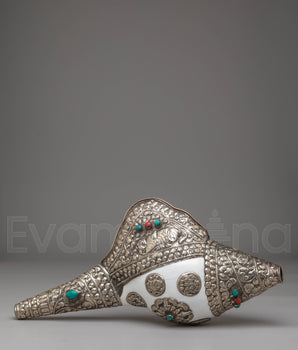 Traditional Tibetan Conch for Rituals | Handcrafted Symbol of Auspicious Sound