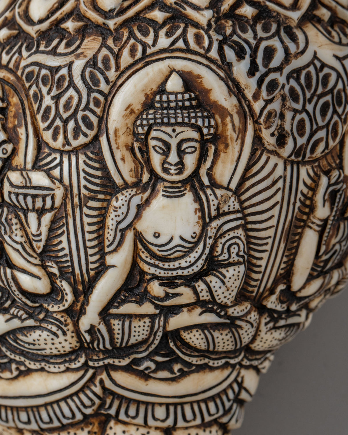 Tibetan Buddhist Sacred Conch | Meditation Tool