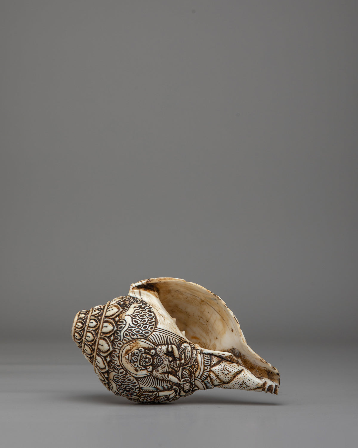 Tibetan Buddhist Sacred Conch | Meditation Tool