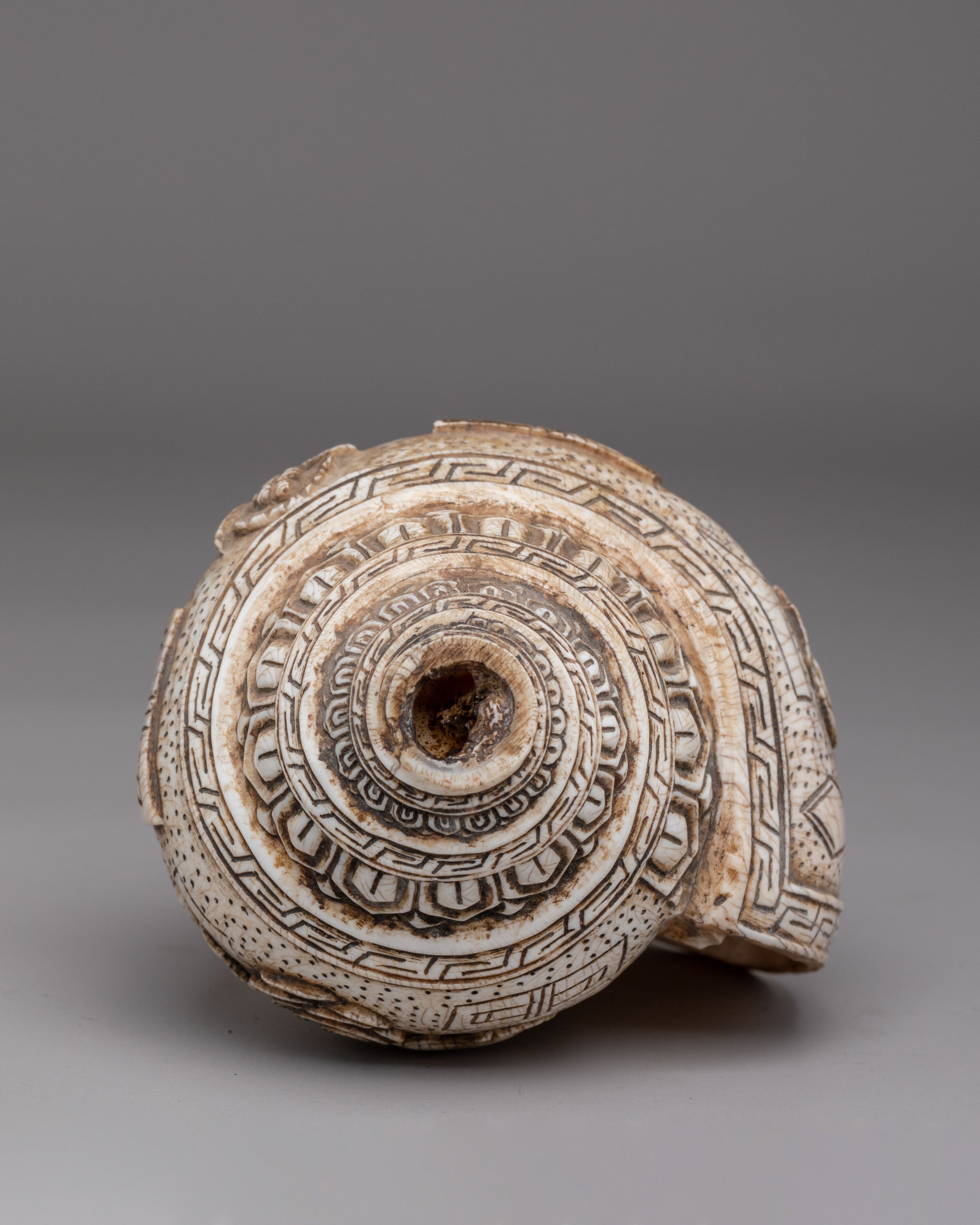 Traditional Ritual Conch | Tibetan Conch Shell for Ceremonies & Meditation
