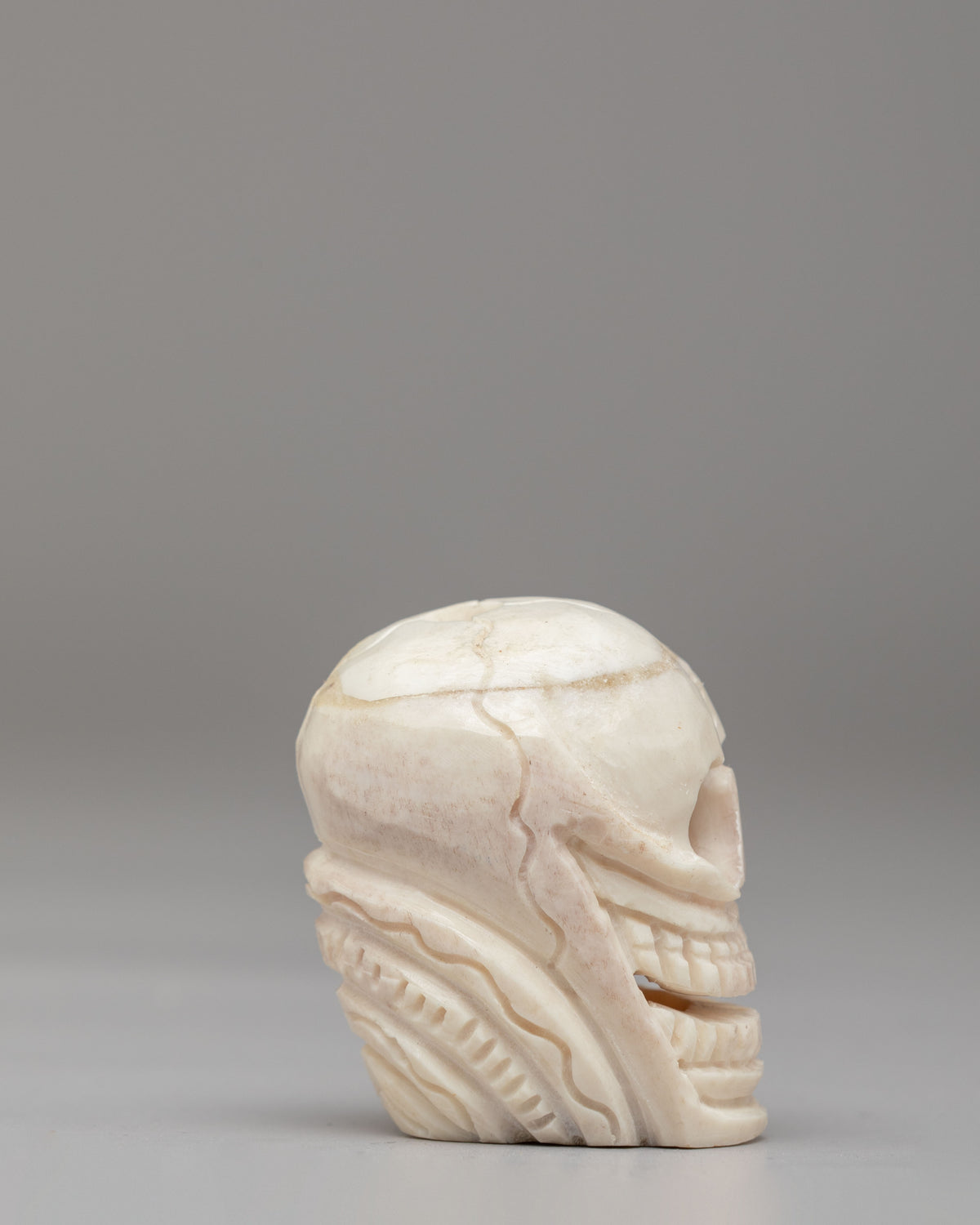 Buddhist Skull Sculpture | Handcrafted Skull Art for Meditation