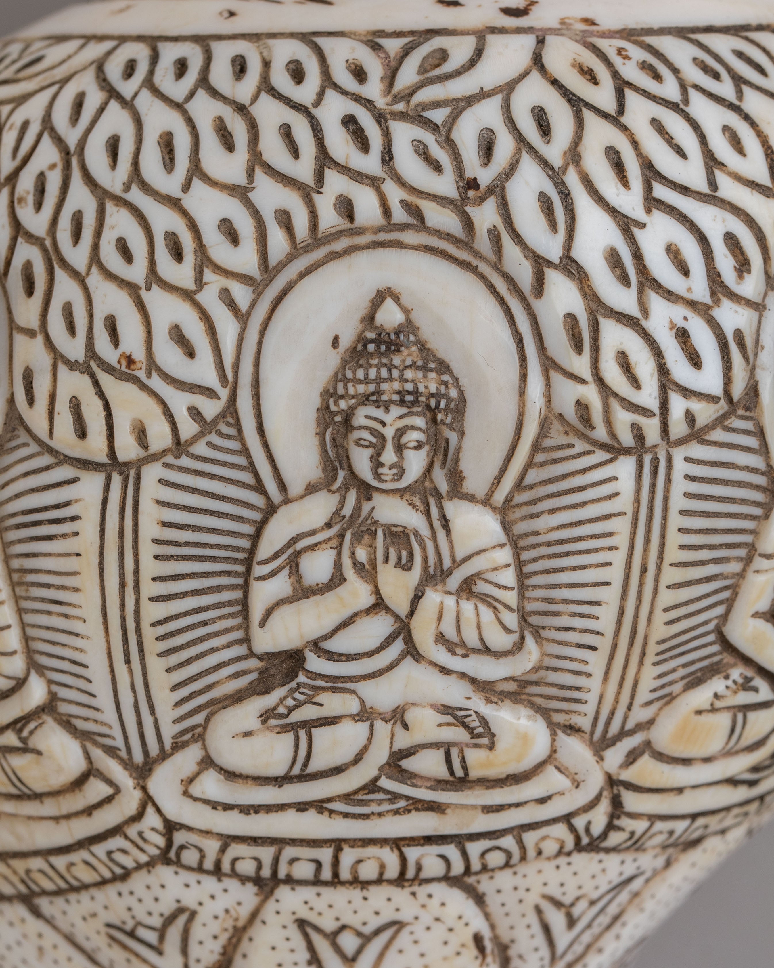 Dhyani Buddha Engraved Conch | Perfect for Rituals