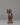 Traditional Siddhartha Gautama Statue |Spiritual Decor
