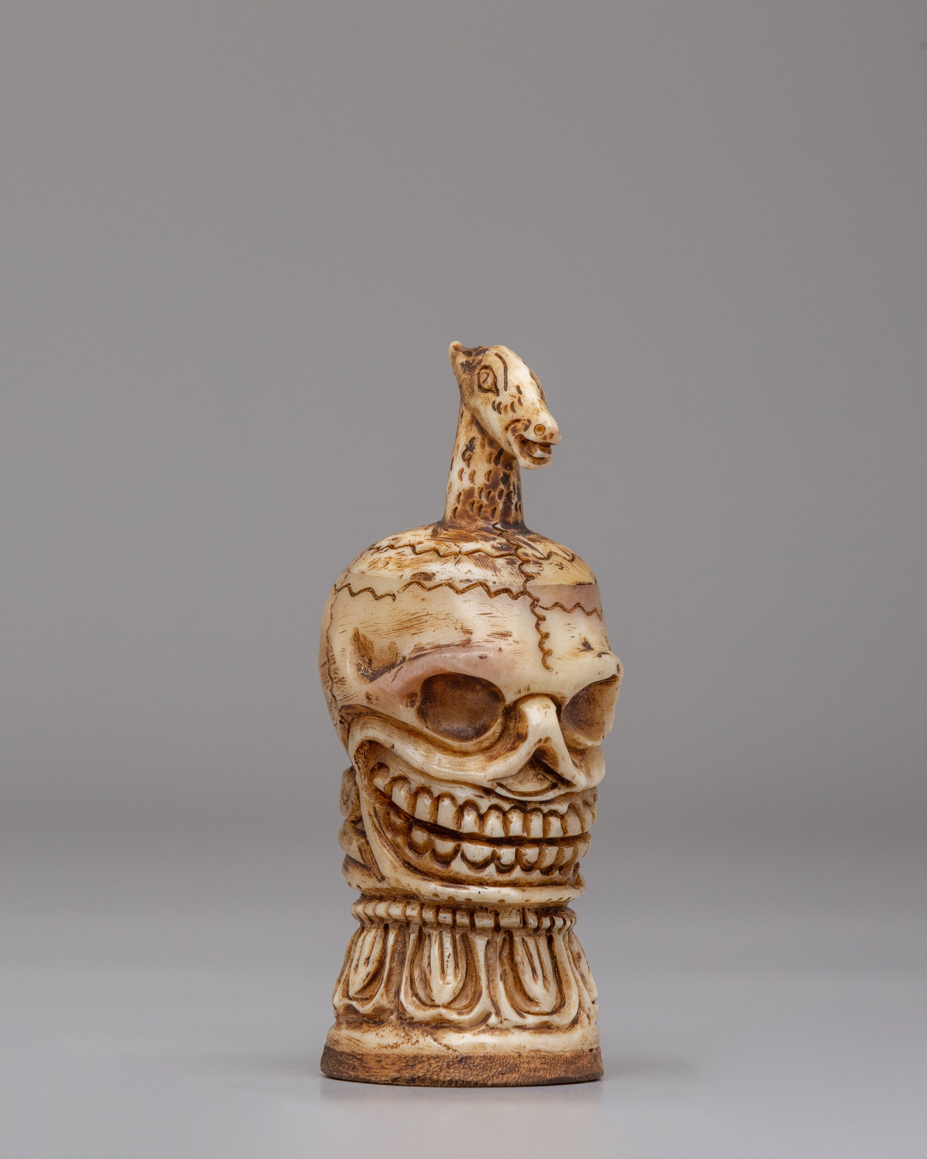 Tibetan Decorative Skull | Authentic Himalayan Craft
