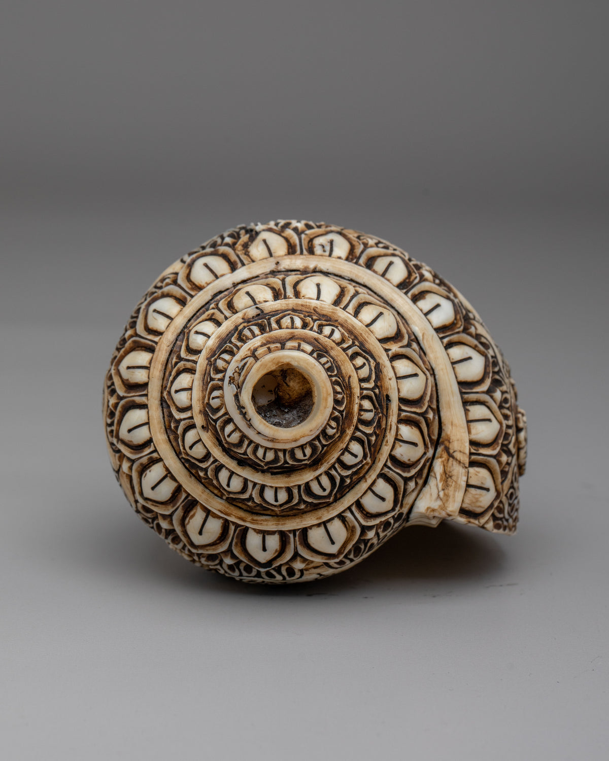 Tibetan Buddhist Sacred Conch | Meditation Tool