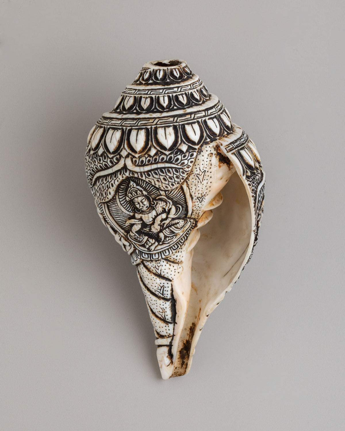 Handcrafted Conch With Stand | Ritual Conch for Spiritual Ceremonies