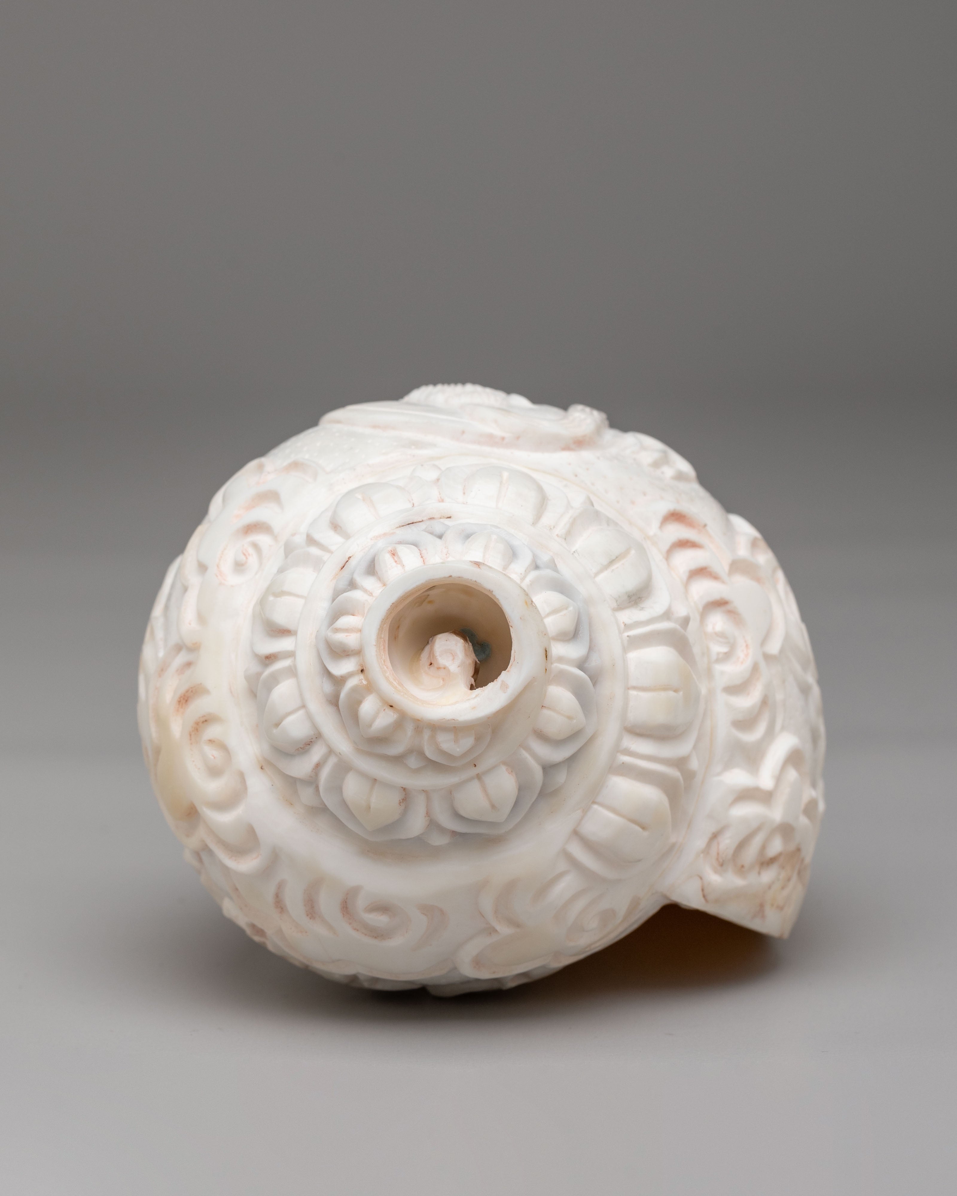 Lord Shiva Ritual Conch Shell | Spiritual Home Decor