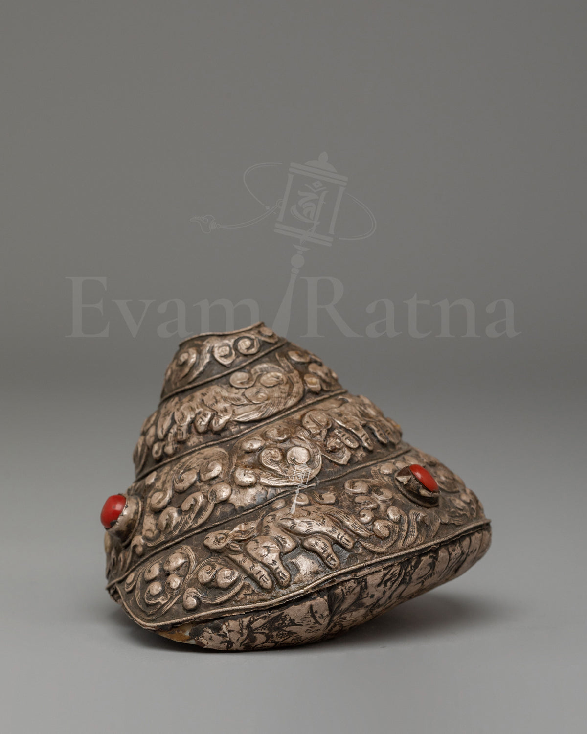 Himalayan Dharma Conch Shell