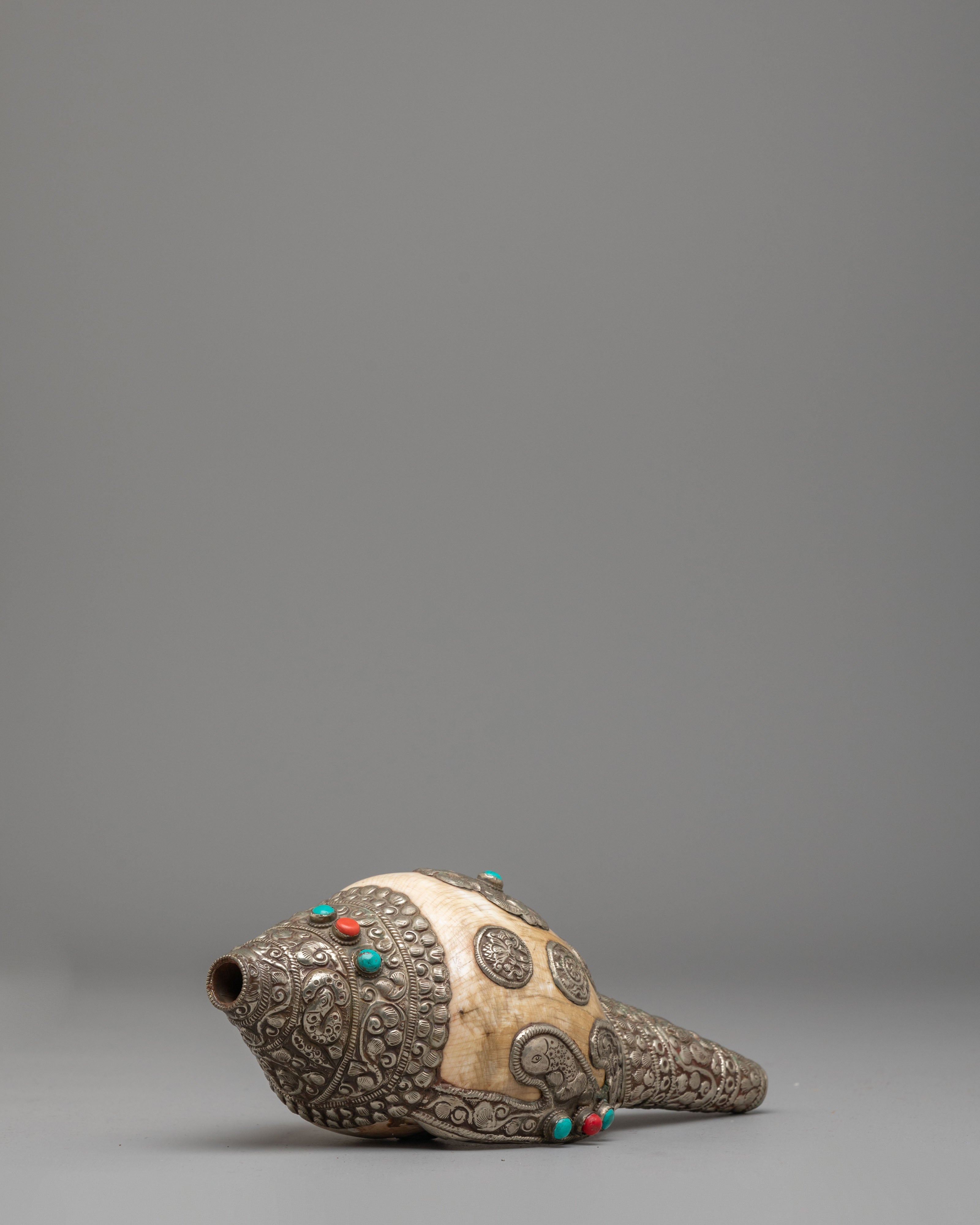 Sacred Dharma Conch Shell | Symbol of Spiritual Awakening