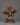  Garuda Statue