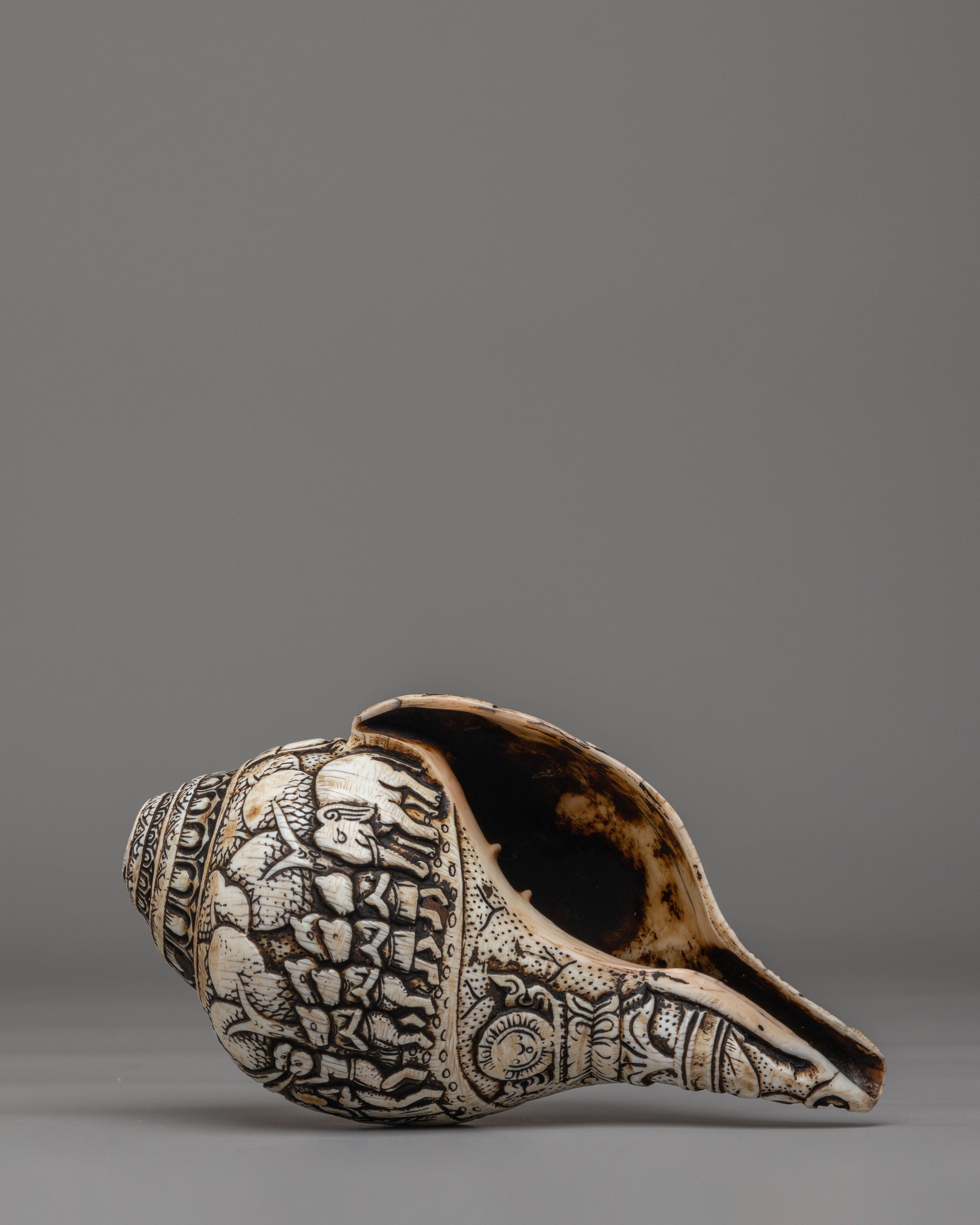 Sacred Buddhist Conch | Buddhist Ritual Object