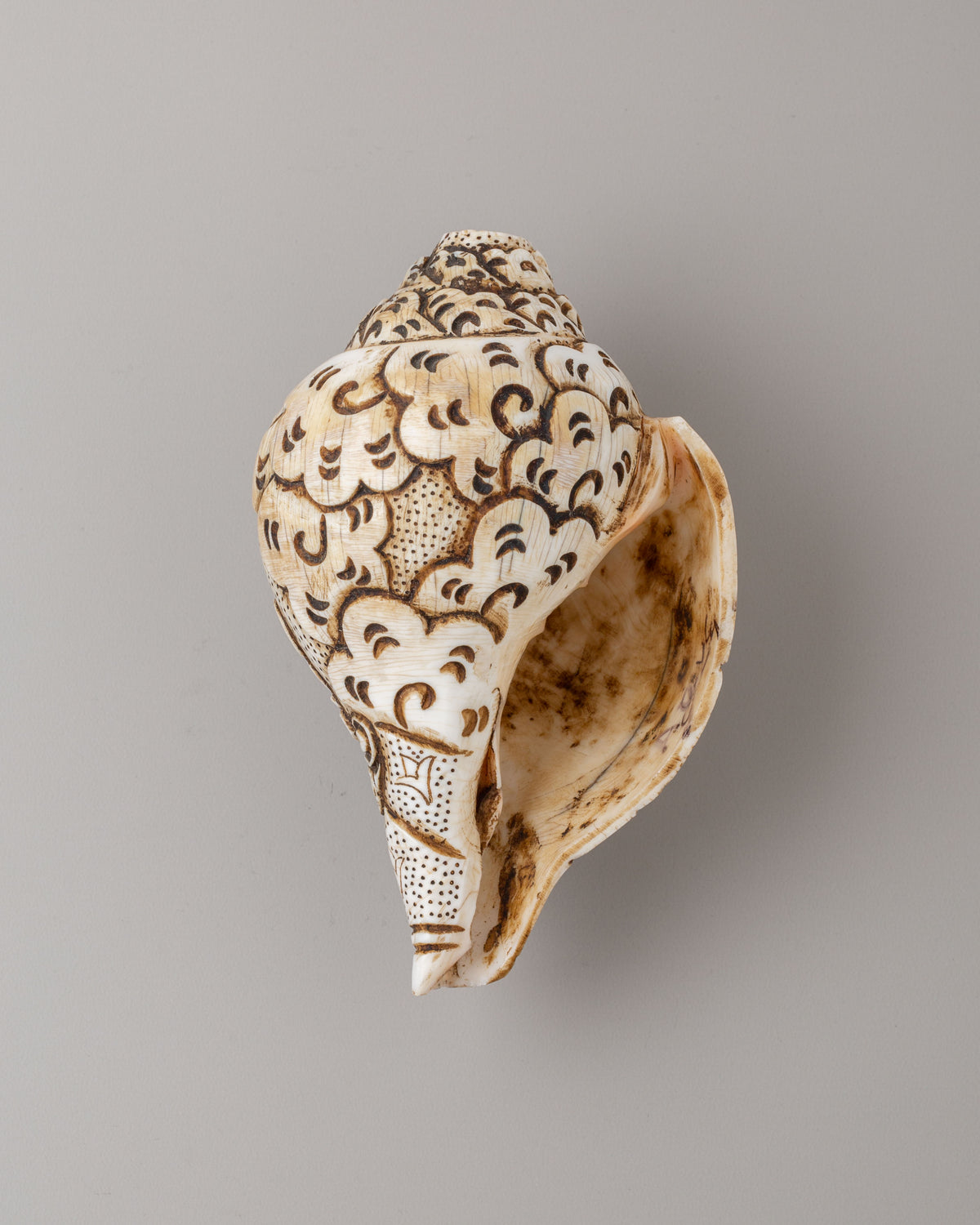 White Dzambhala Ritual Conch | Handcrafted Buddhist Sacred Art