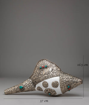 Traditional Tibetan Conch for Rituals | Handcrafted Symbol of Auspicious Sound