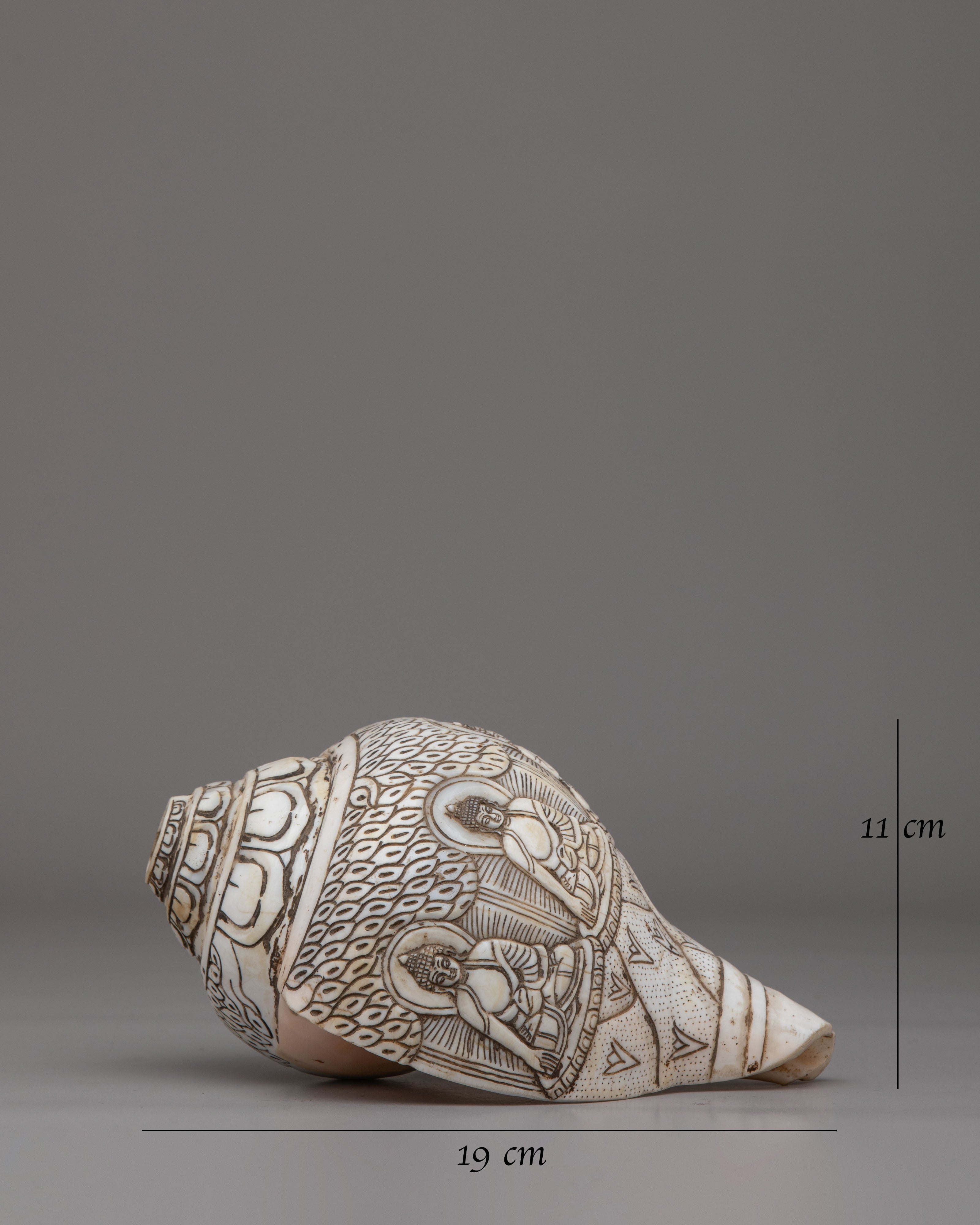 Dhyani Buddha Engraved Conch | Perfect for Rituals