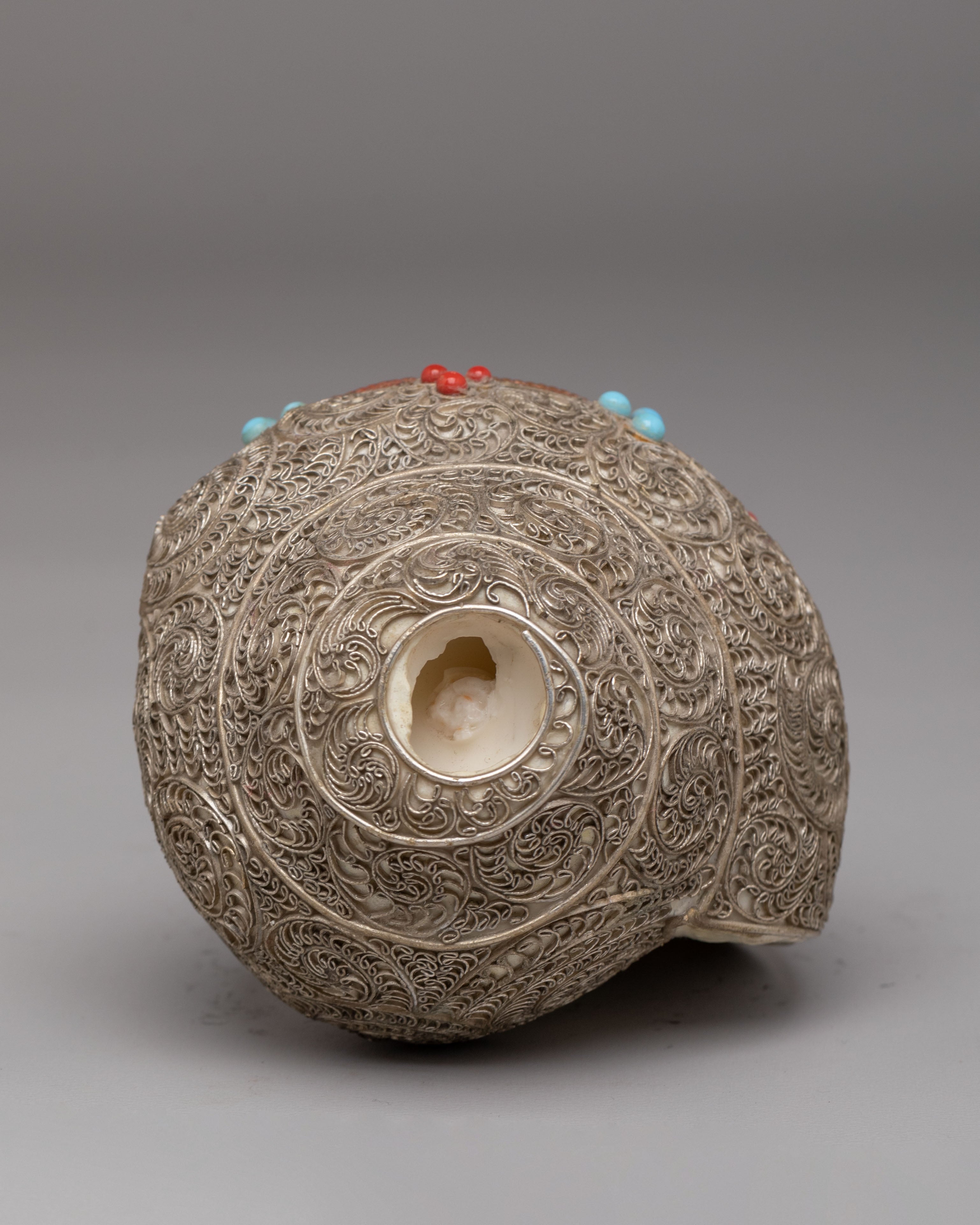 Traditional Ritual Conch | Conch Shell for Spiritual Practice