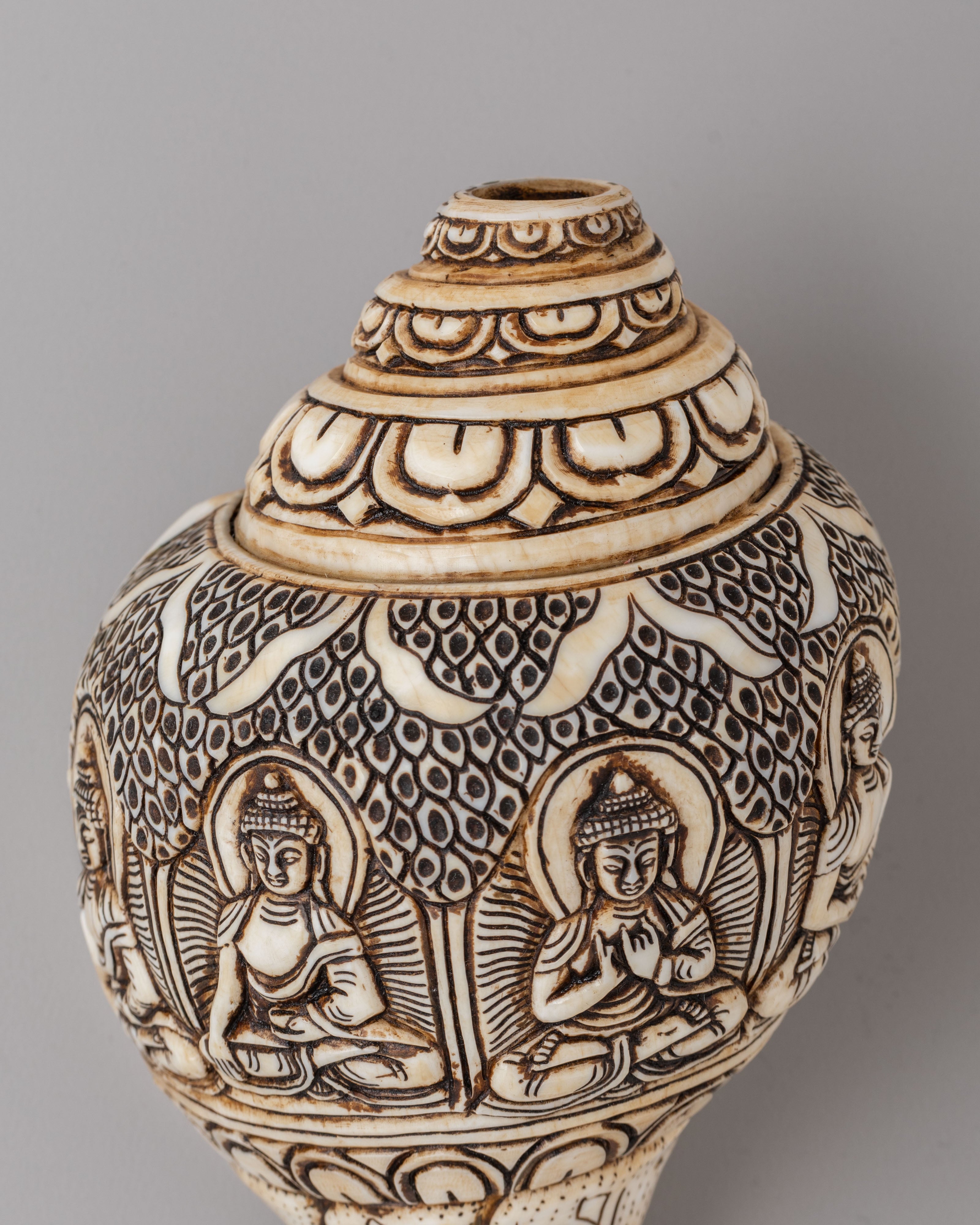 Himalayan Buddhist Conch | Symbol of Dharma and Enlightenment