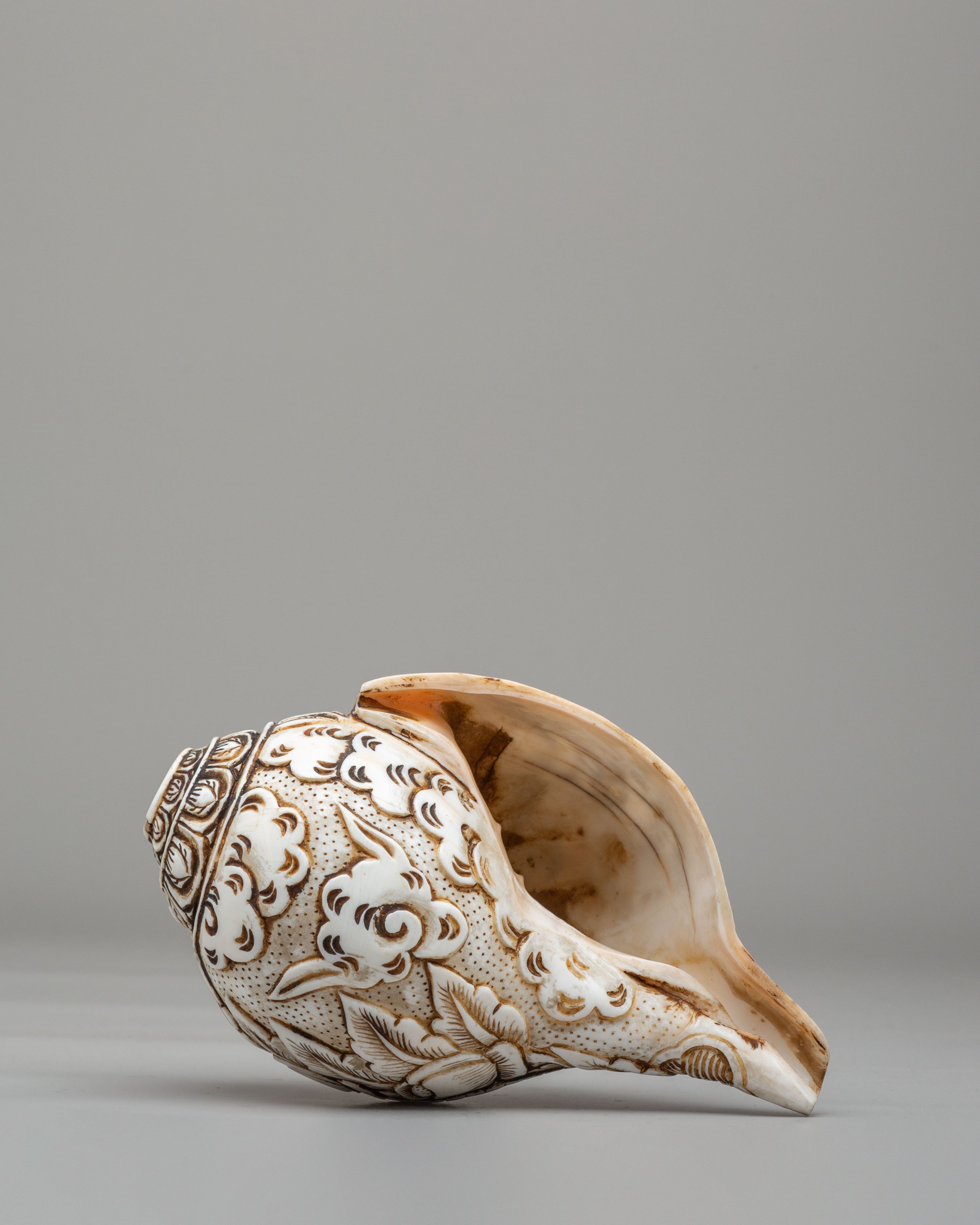 Auspicious Symbol Carved Conch | Perfect for Meditation & Spiritual Practices