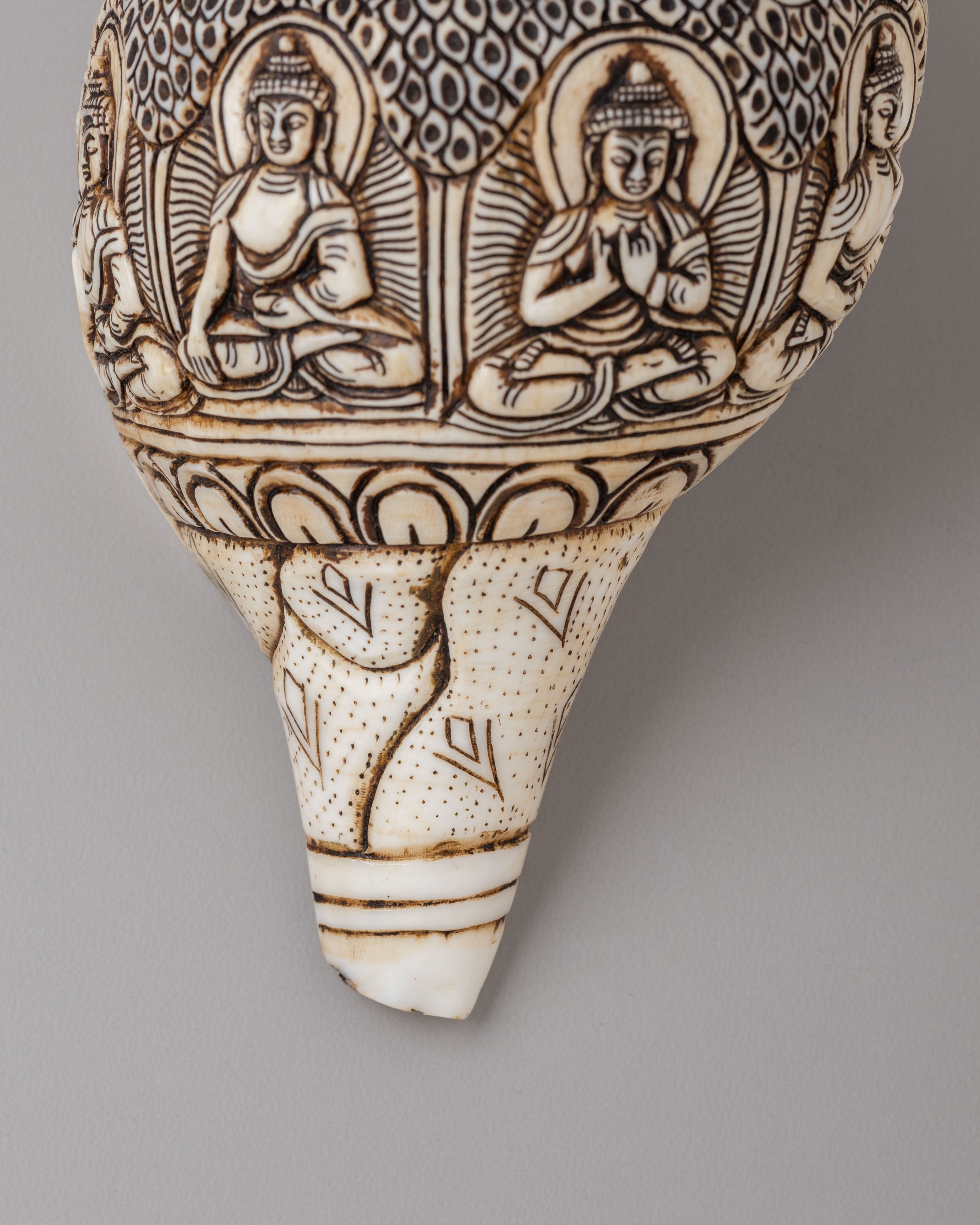 Himalayan Buddhist Conch | Symbol of Dharma and Enlightenment