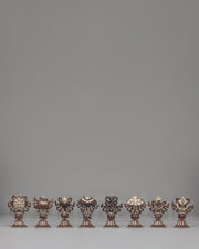 Sacred Eight Auspicious Symbols Set