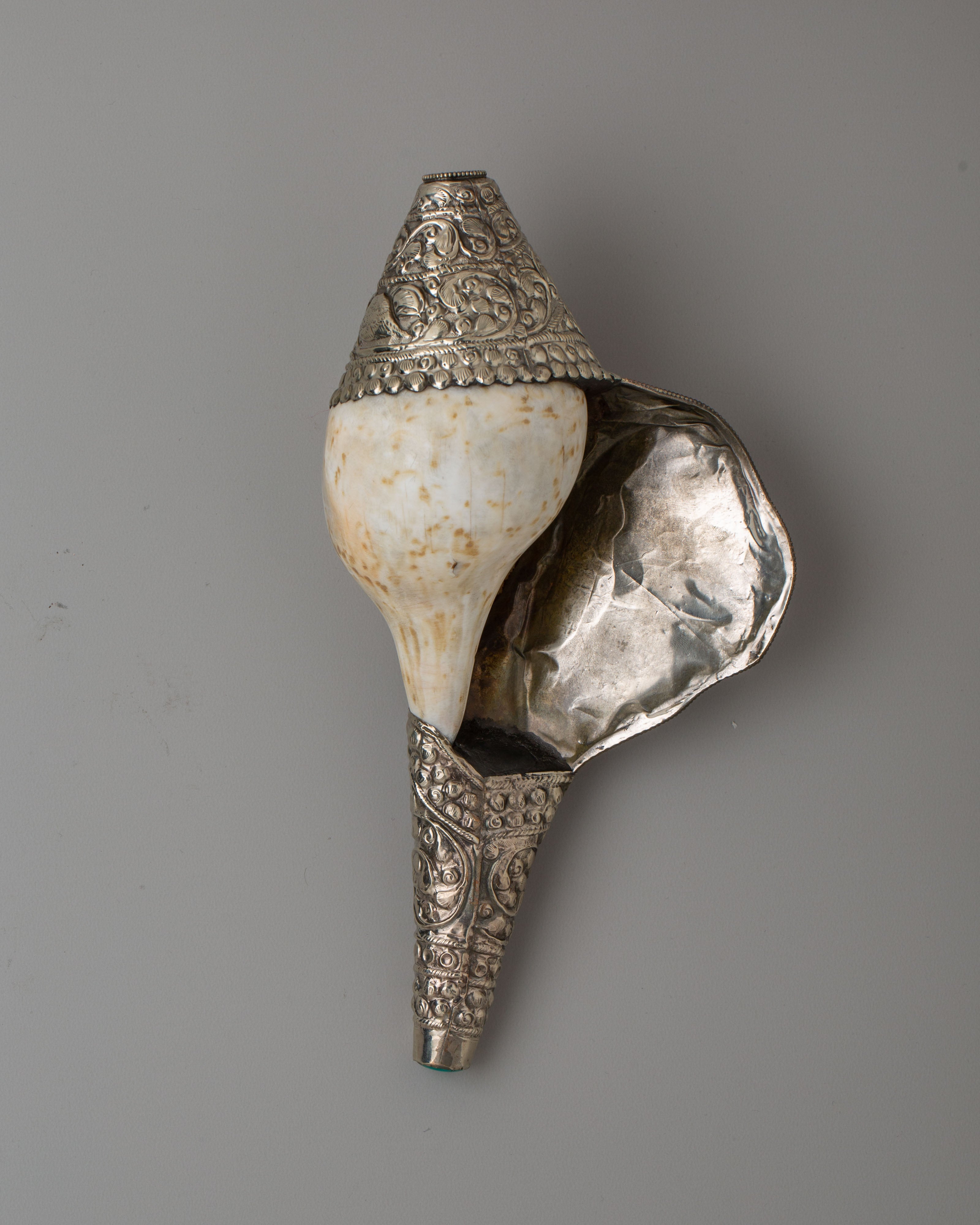 Ceremonial Conch Shell for Spiritual Practice | Dharma Shell