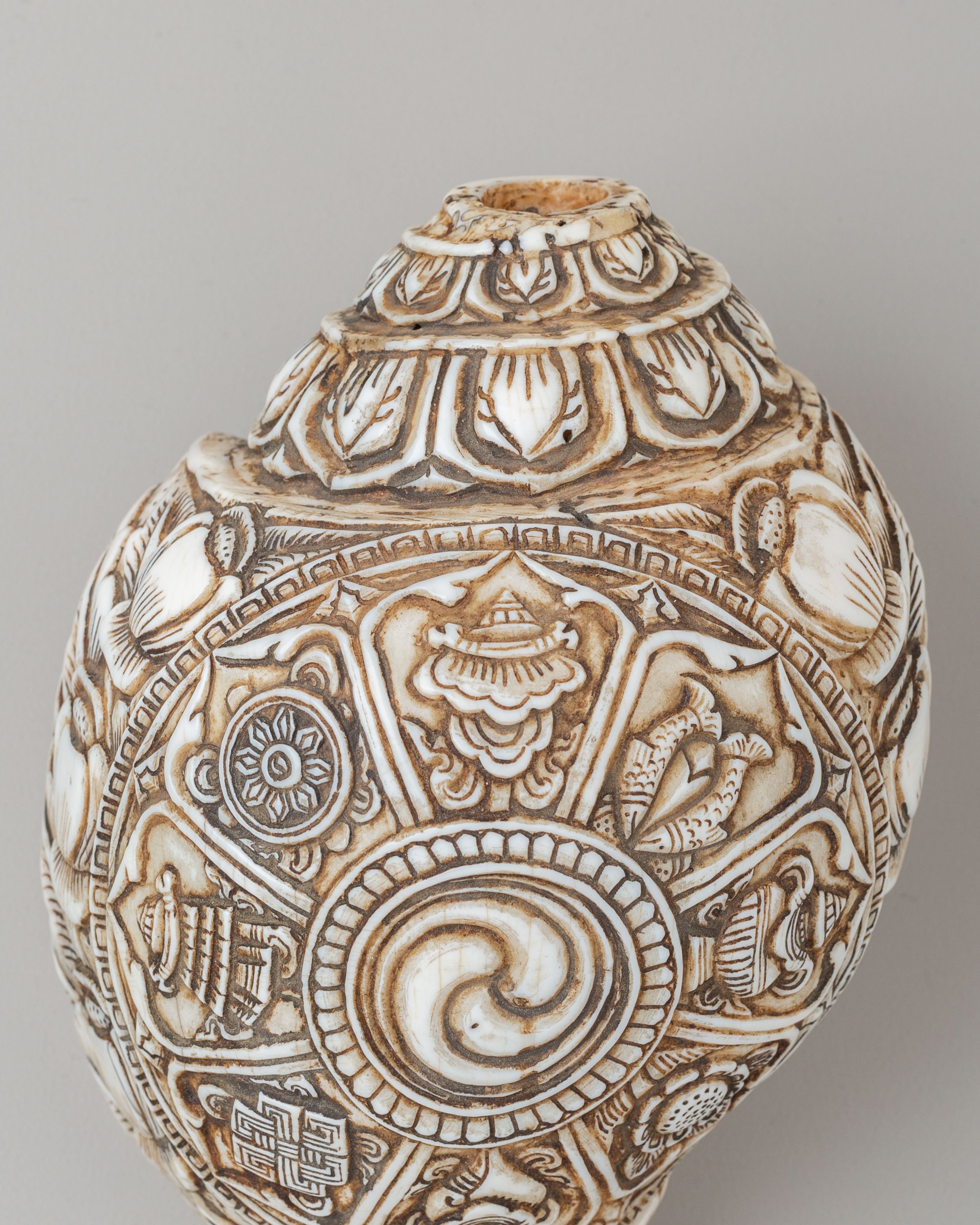 Auspicious Symbol Carved Conch | Perfect for Meditation & Spiritual Practices